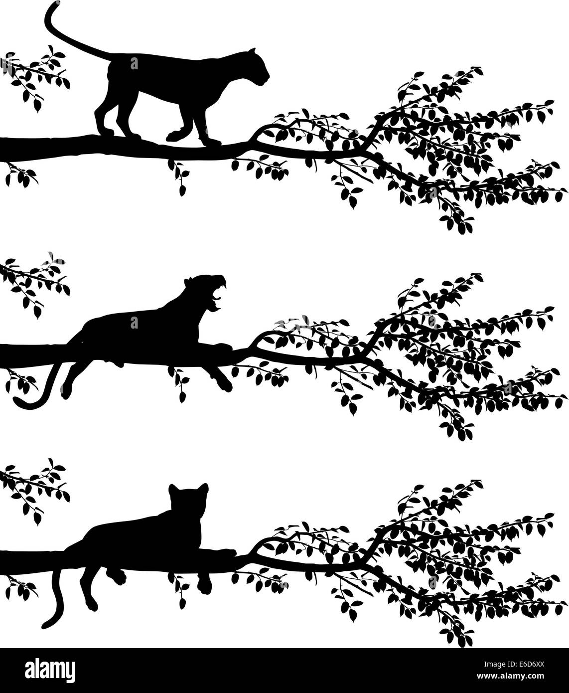 Ensemble de trois silhouettes vecteur modifiable d'un léopard sur une branche d'arbre avec des léopards en tant qu'objets séparés Illustration de Vecteur