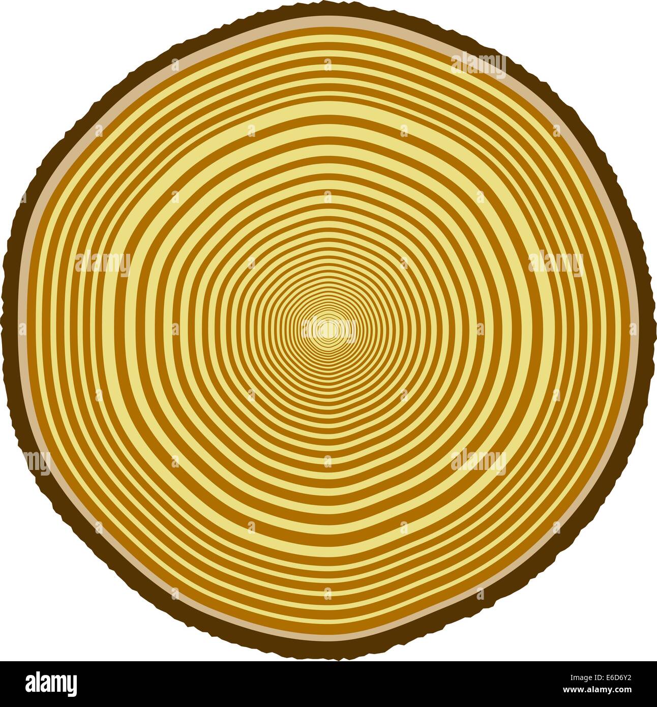 Vector illustration de cernes d'arbres à partir d'un 33-year-old tree Illustration de Vecteur