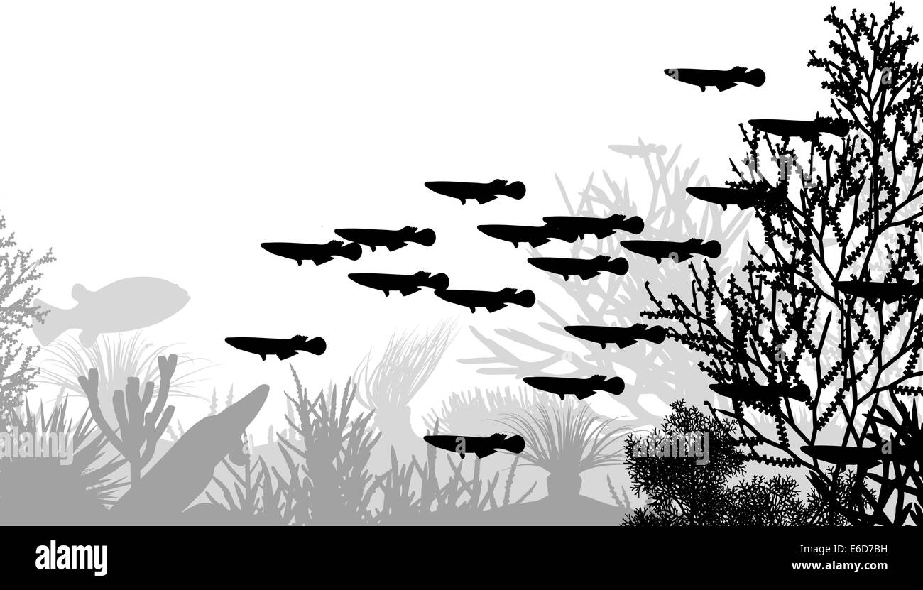 Vector illustration silhouettes de coraux et de poissons Illustration de Vecteur