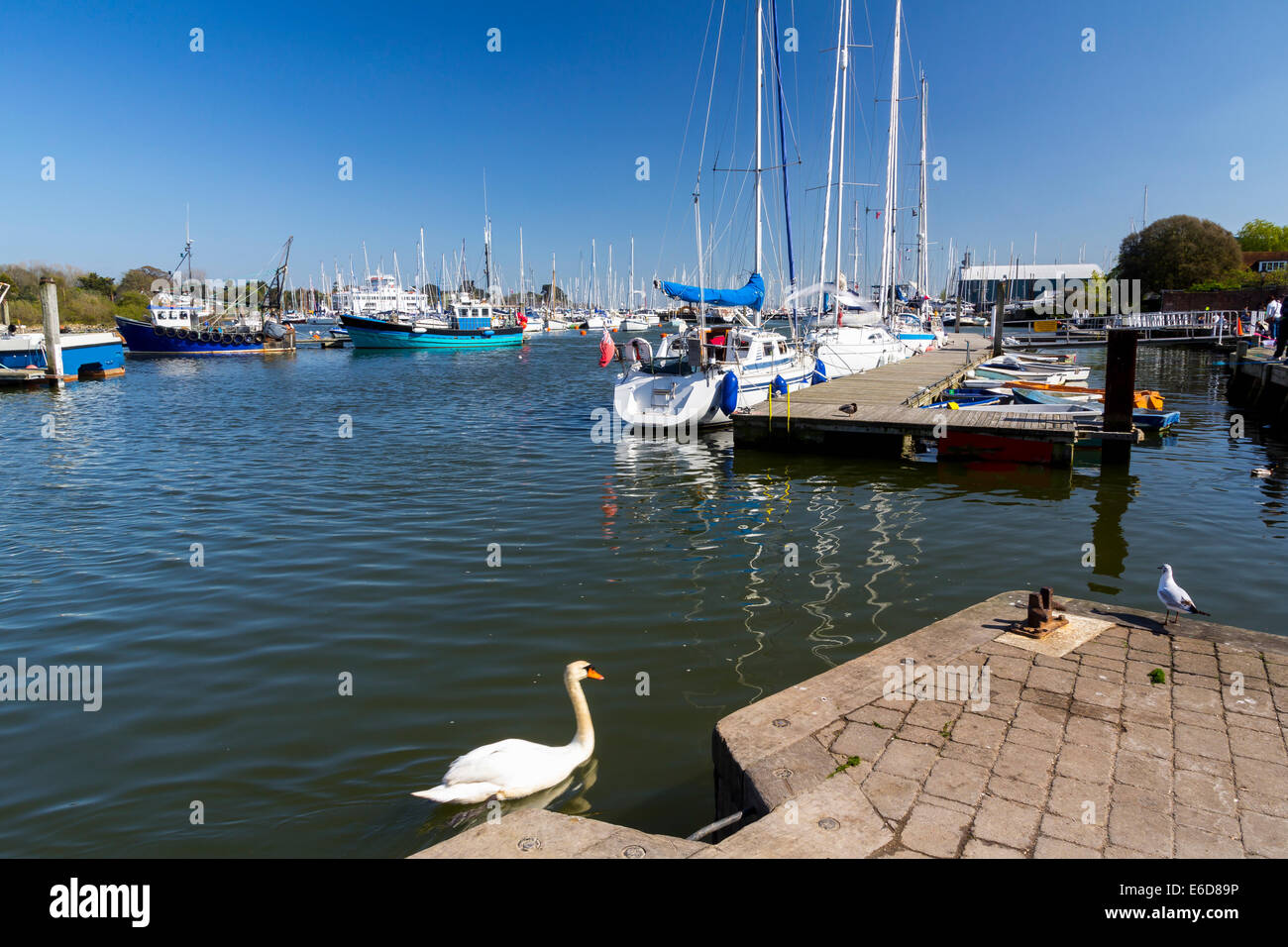 Bateaux dans le port de Lymington Hampshire Angleterre Angleterre Europe Banque D'Images