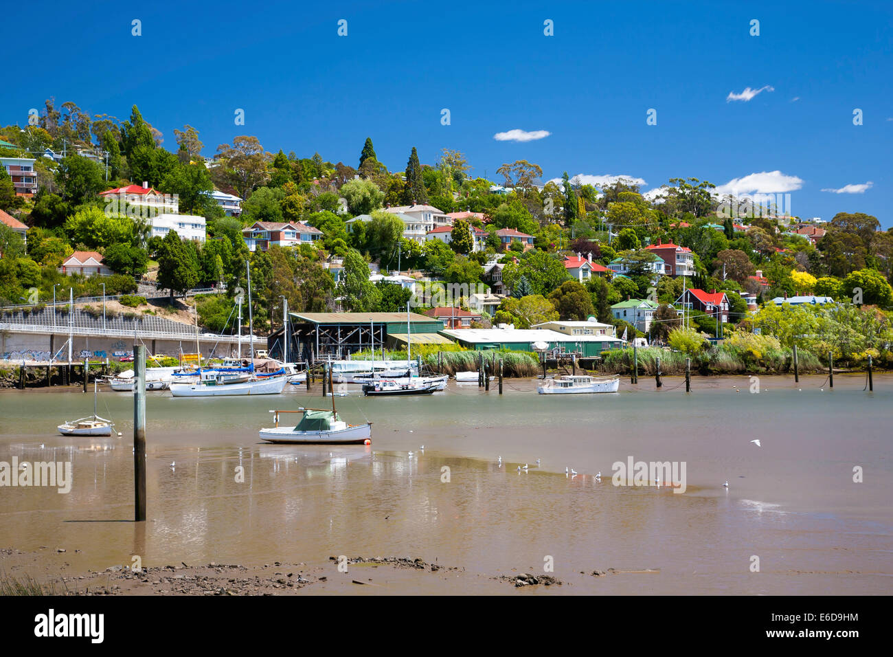 Tamar River Launceston Tasmanie Australie vu depuis de Kings Park Banque D'Images