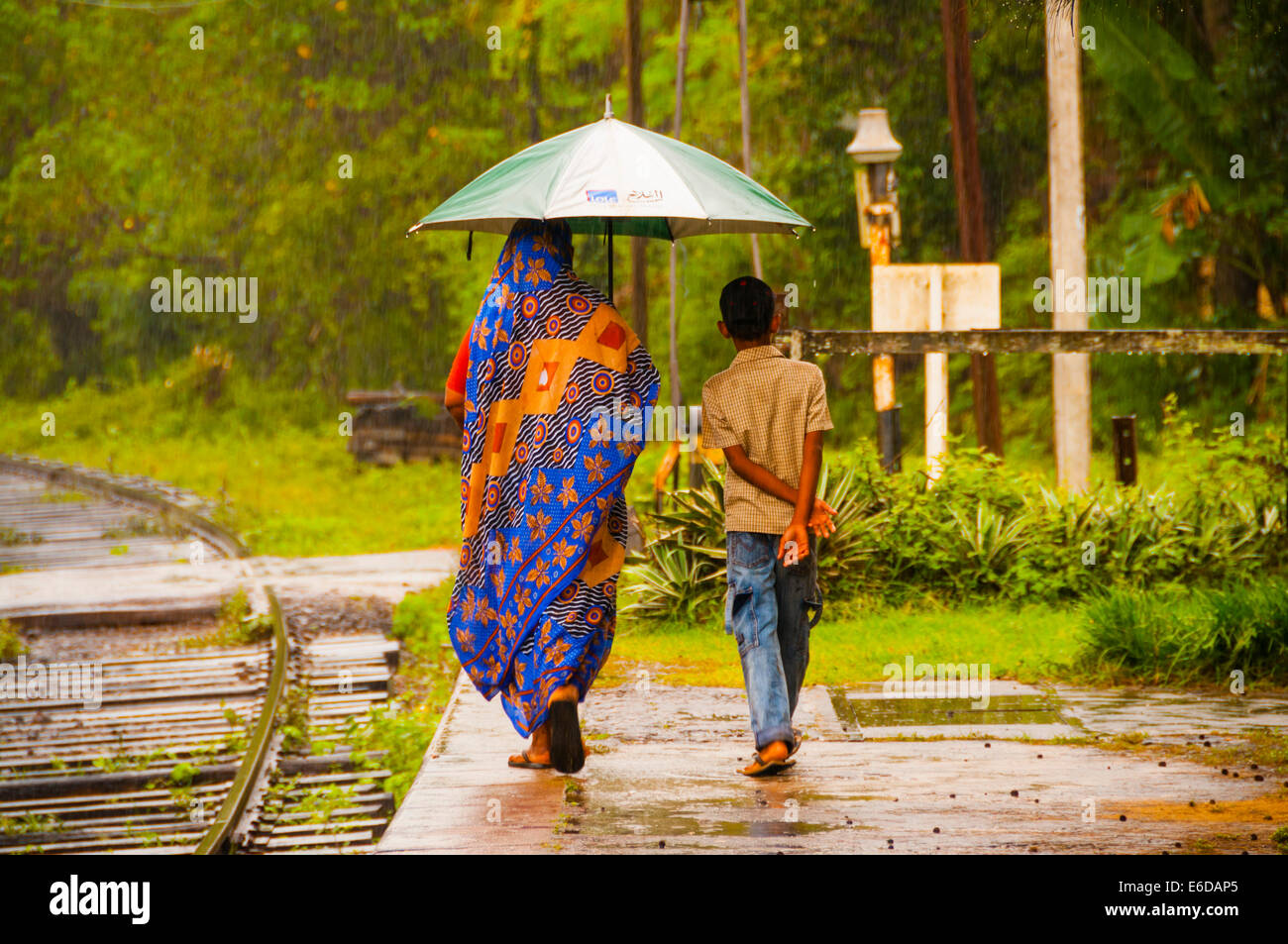 Sri Lanka, district d'Anuradhapura, Kalawewa, femme cinghalaises et son fils marche à travers la pluie de mousson Banque D'Images