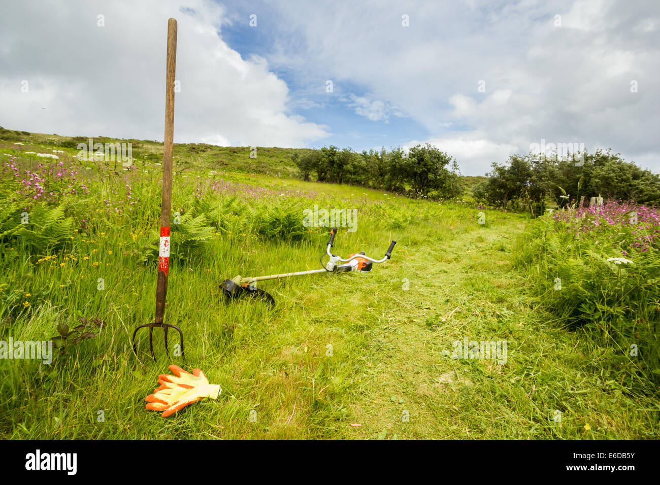 Une image de l'outils que les bénévoles de la fiducie de la faune des îles Scilly utiliser pour maintenir leurs chemins, y compris un pinceau c Banque D'Images
