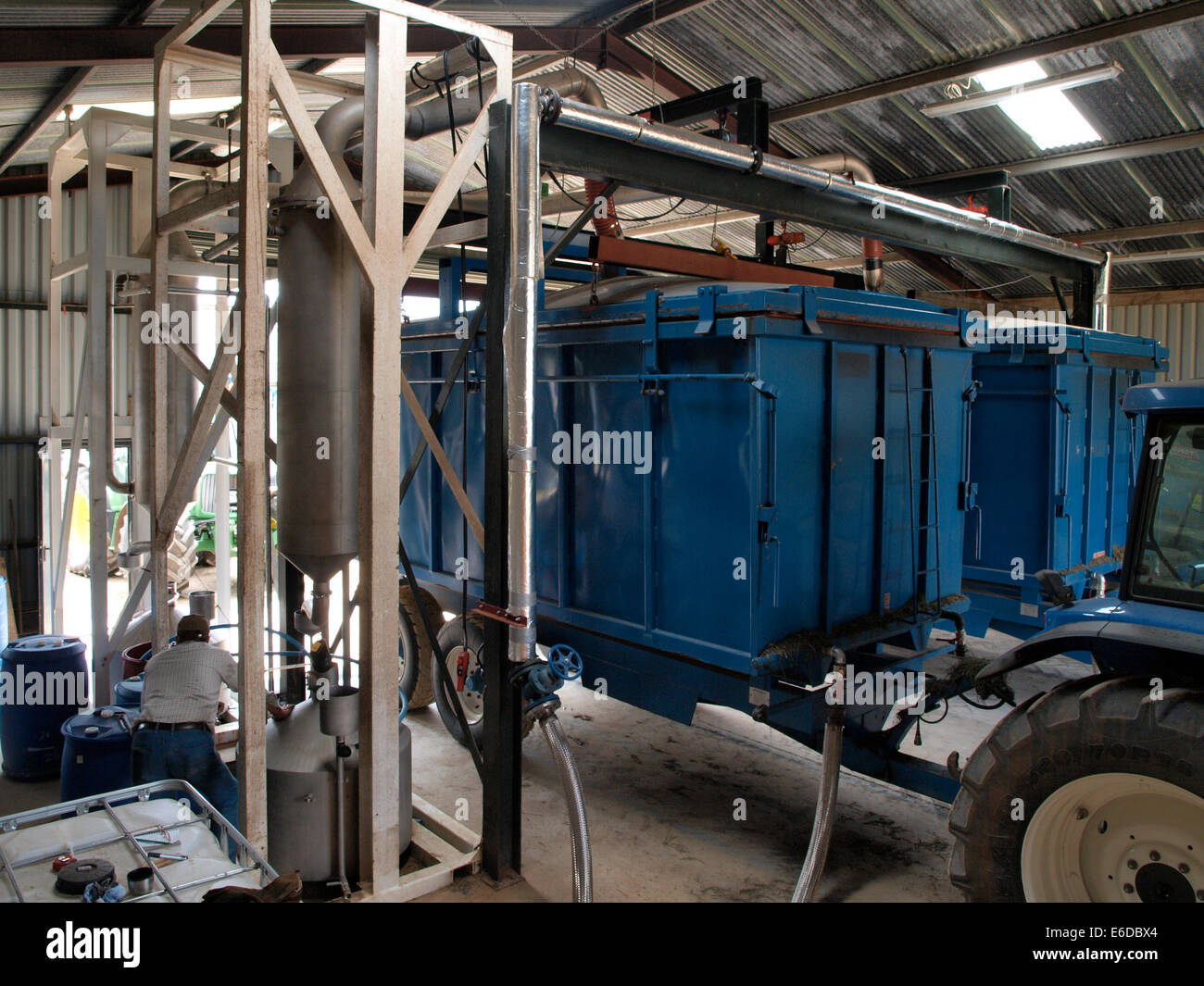 L'huile est extraite de la lavande par distillation à la vapeur, lavande, Cotswold Snowshill, Worcestershire, Royaume-Uni Banque D'Images