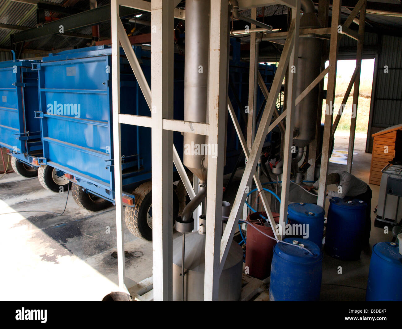 L'huile est extraite de la lavande par distillation à la vapeur, lavande, Cotswold Snowshill, Worcestershire, Royaume-Uni Banque D'Images