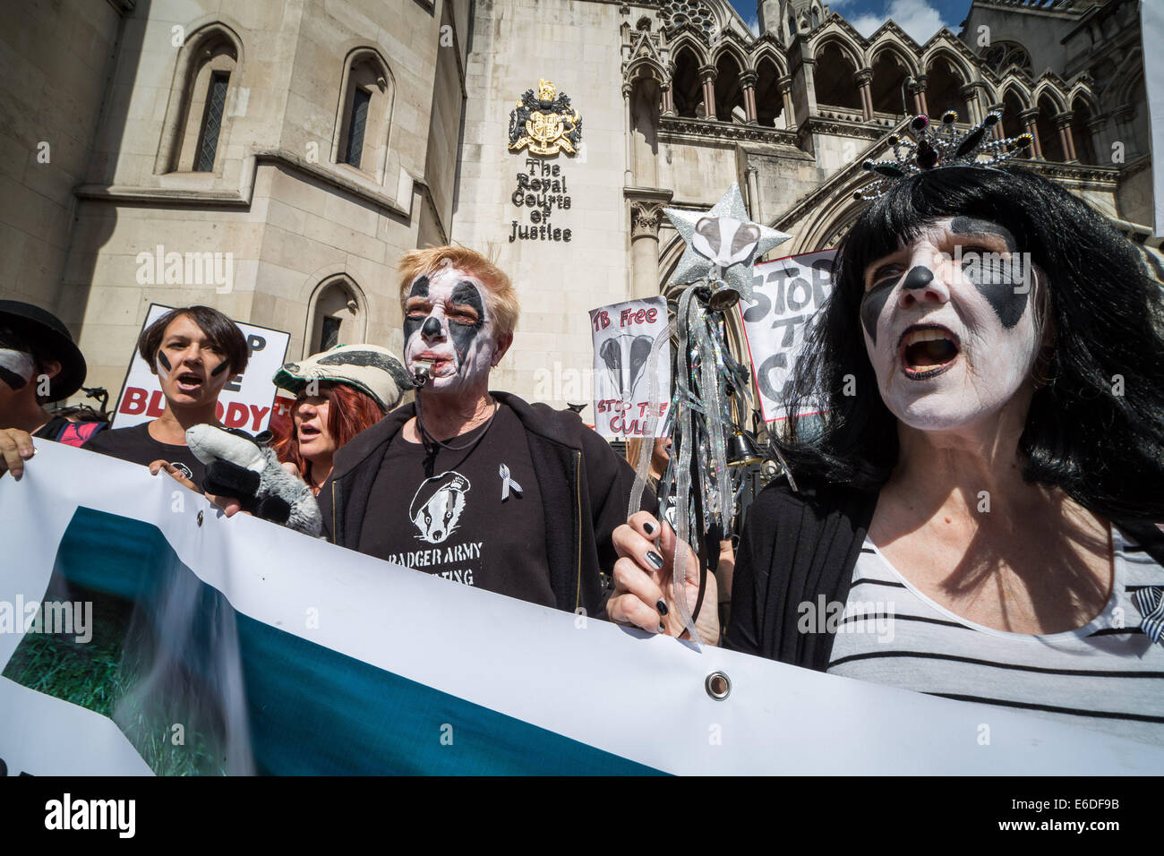 Londres, Royaume-Uni. 21e Août, 2014. Badger Cull protester devant les tribunaux de la justice royale de Londres Crédit : Guy Josse/Alamy Live News Banque D'Images