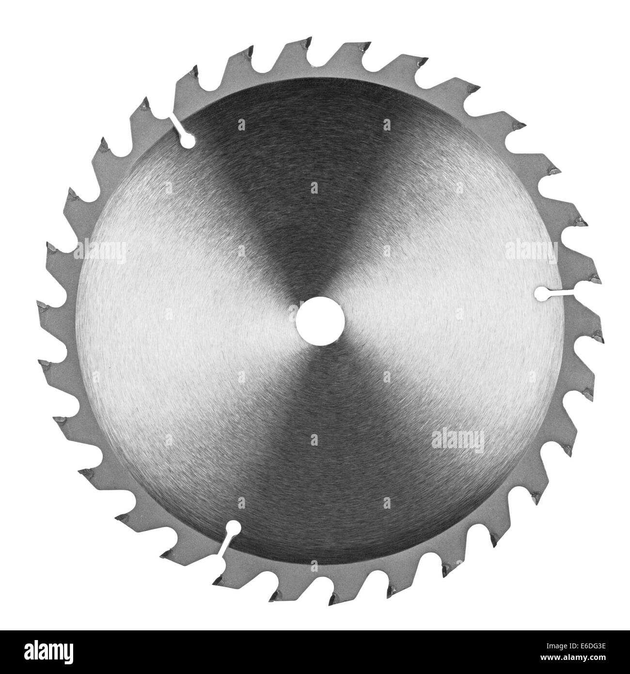 Lame de scie de buzz sur fond blanc Banque D'Images
