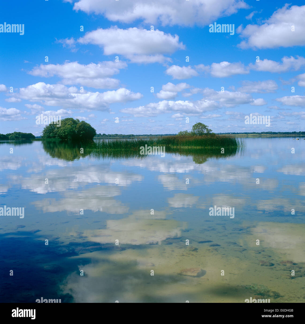 Près de Belvedere Lough Ennell Mullinger Comté de Westmeath Irlande Banque D'Images