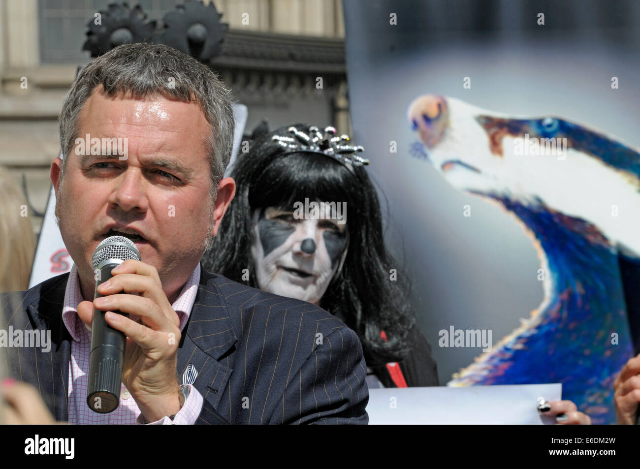 Londres, Royaume-Uni. 21 août, 2014. Dominic Dyer parle de manifestants devant la Haute Cour de Londres comme le blaireau Trust demander une révision judiciaire contre le DEFRA Secrétaire d'État Liz Truss et Natural England sur la très controversée du gouvernement la politique de réforme du blaireau. Banque D'Images