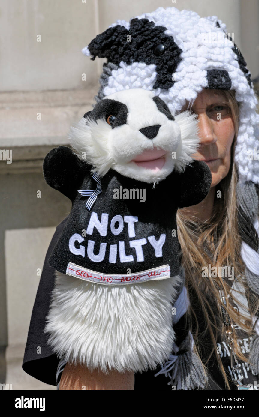 Londres, Royaume-Uni. 21 août, 2014. Manifestants devant la Haute Cour de Londres comme le blaireau Trust demander une révision judiciaire contre le DEFRA Secrétaire d'État Liz Truss et Natural England sur la très controversée du gouvernement la politique de réforme du blaireau. Banque D'Images