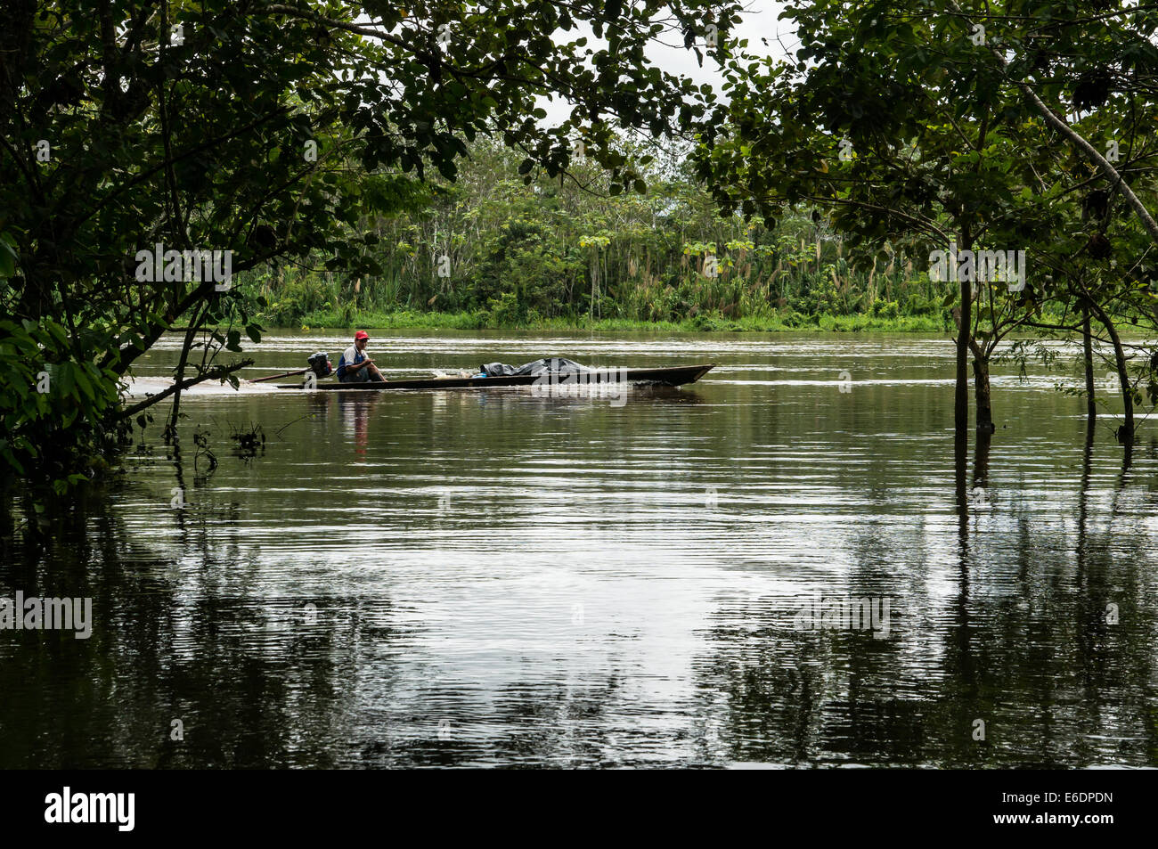 Amazon River scenics Banque D'Images
