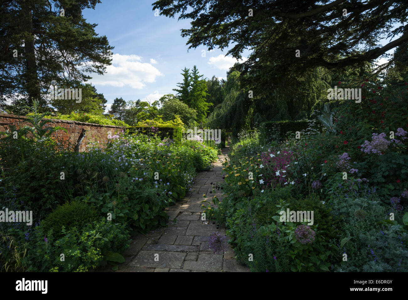 Les frontières de l'herbacée colorés terrasse jardin conçu par James Alexander Sinclair, Cottesbrooke Hall, Northamptonshire, en Angleterre. Banque D'Images