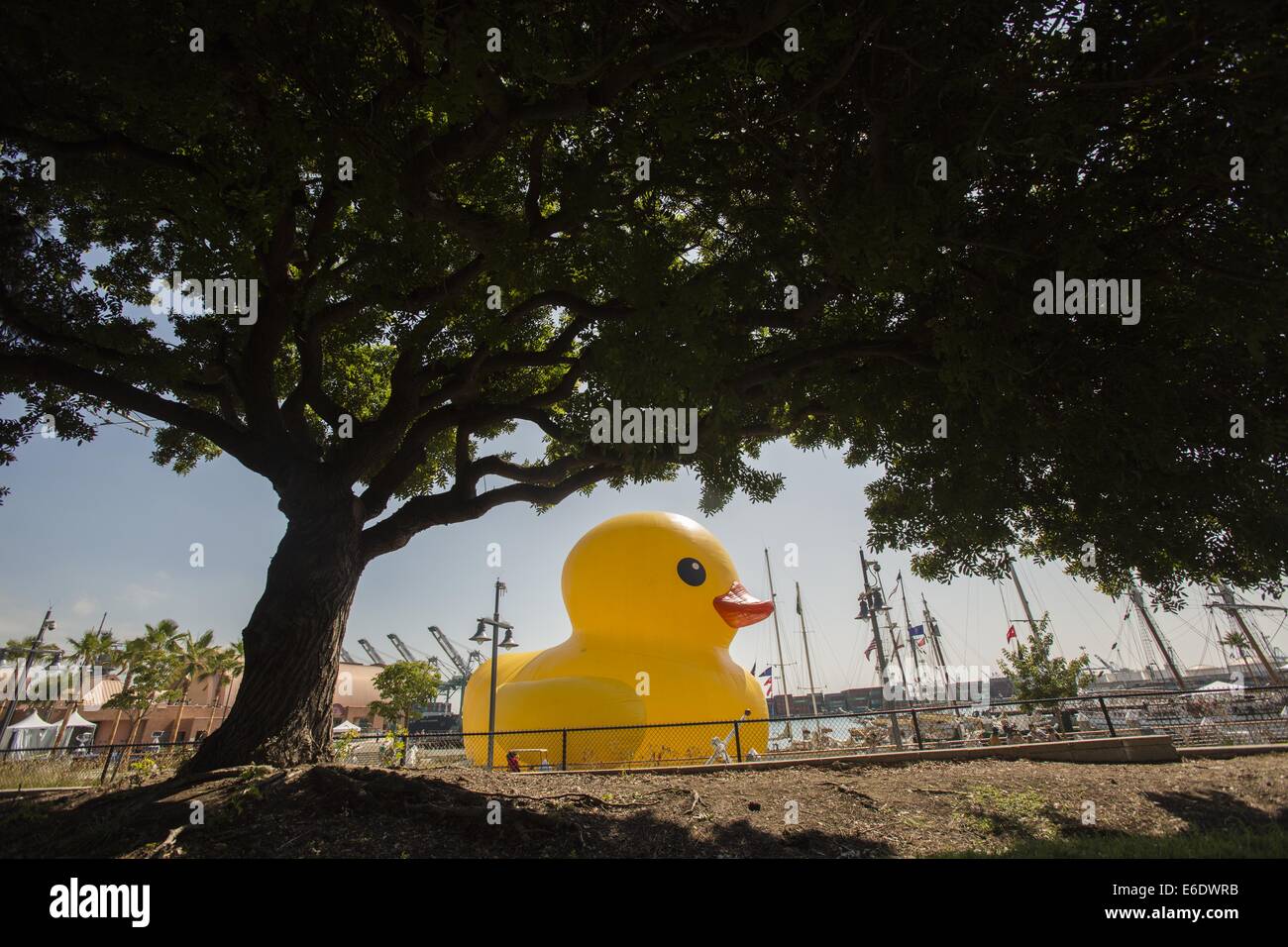 Un canard géant dans le port de Los Angeles