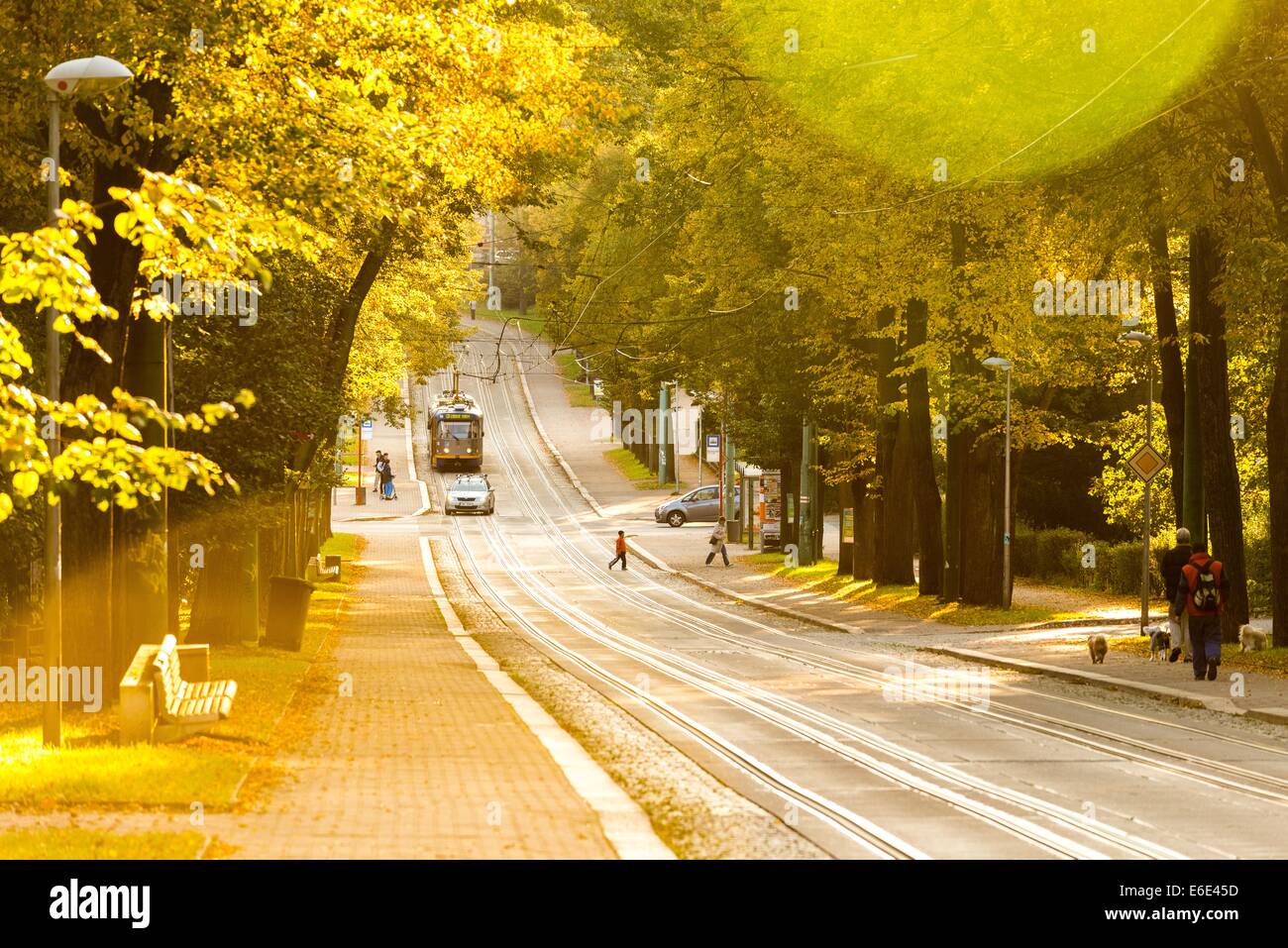 Le Tram dans une rue de Liberec, République tchèque, 2 octobre 2013. (Photo/CTK Jiri Castka) Banque D'Images