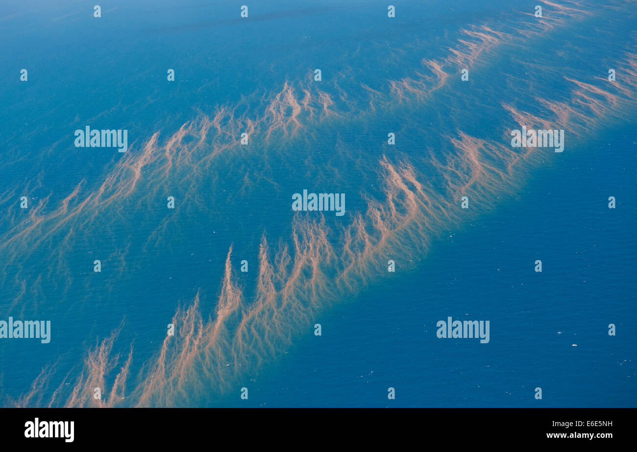 Vue aérienne de la Grande Barrière de Corail, site du patrimoine mondial de l'UNESCO, Queensland, Australie Banque D'Images