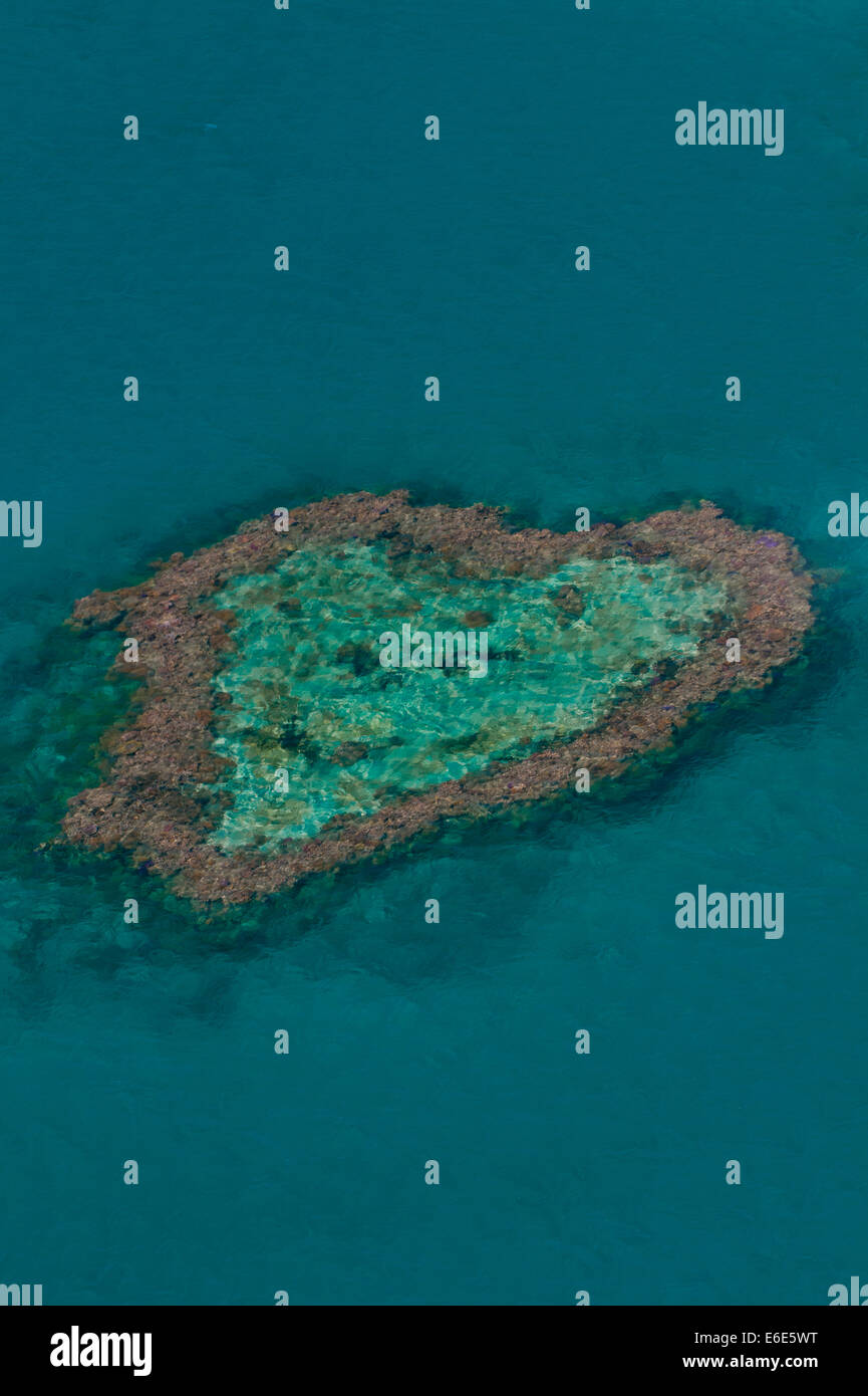 Vue aérienne, coeur de corail, Grande Barrière de Corail, site du patrimoine mondial de l'UNESCO, Queensland, Australie Banque D'Images