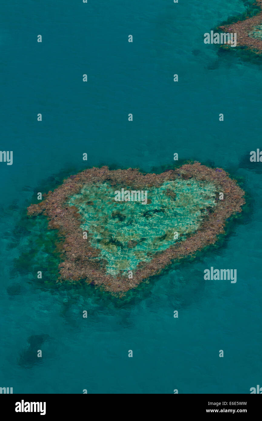 Vue aérienne, coeur de corail, Grande Barrière de Corail, site du patrimoine mondial de l'UNESCO, Queensland, Australie Banque D'Images