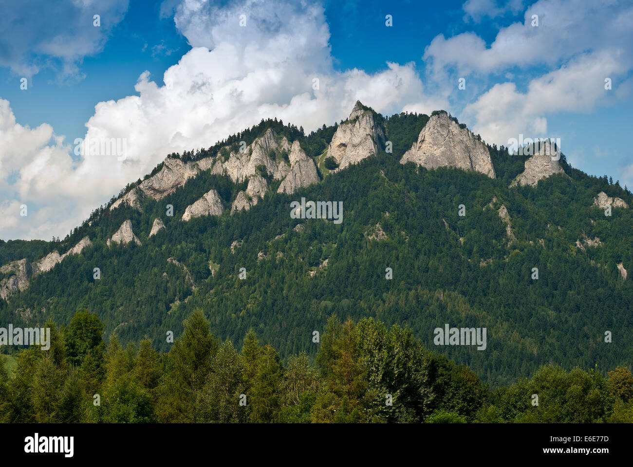 Les trois couronnes en montagnes Pieniny sur la frontière slovaque Banque D'Images