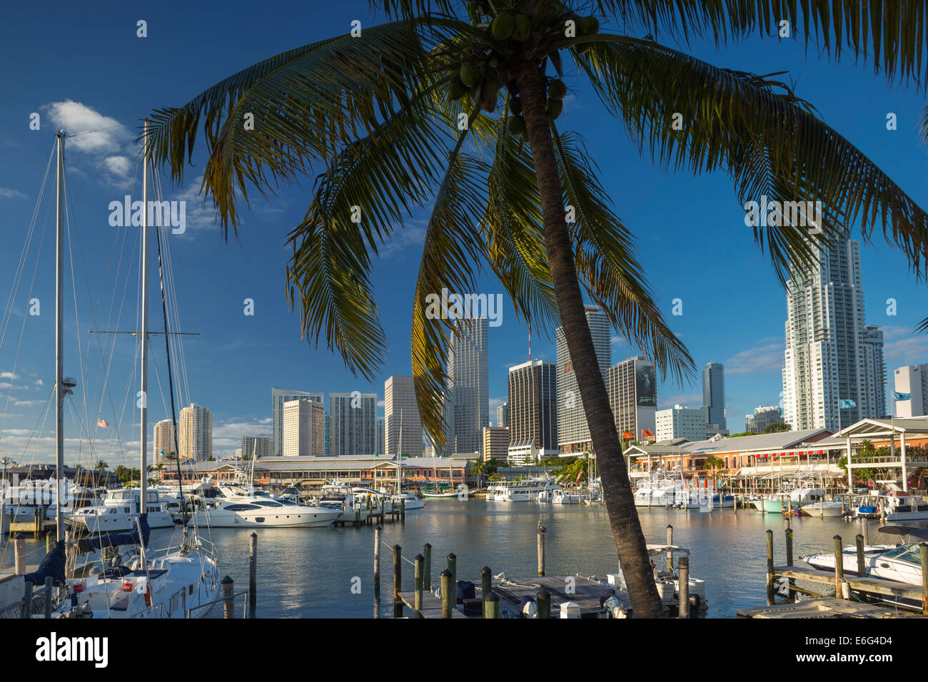 Marché de Bayside MARINA CENTRE-VILLE DE MIAMI FLORIDA USA Banque D'Images