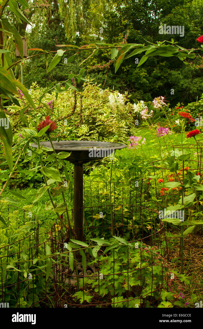 Bain d'oiseaux dans un jardin Banque D'Images