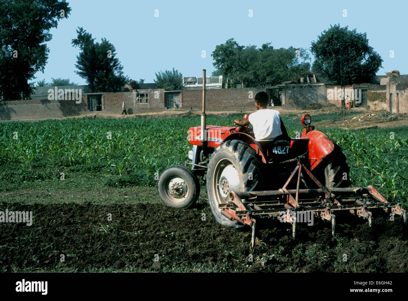 Un cultivateur exploitant un tracteur pour labourer un champ dans la région du Punjab, au Pakistan Banque D'Images