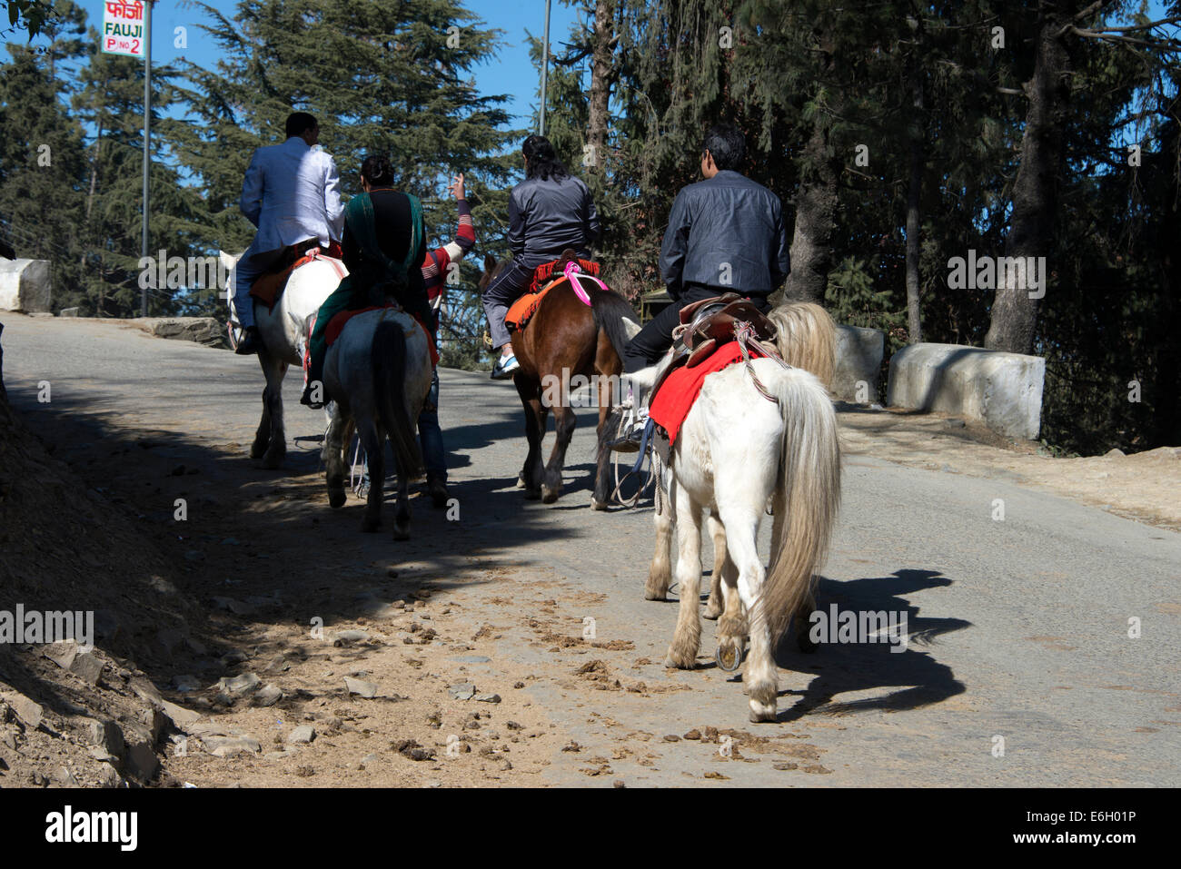 Un groupe de touristes indiens prenant des promenades sur des poneys près de la minuscule station de colline de Kufri dans l'Himachal Pradesh en Inde Banque D'Images