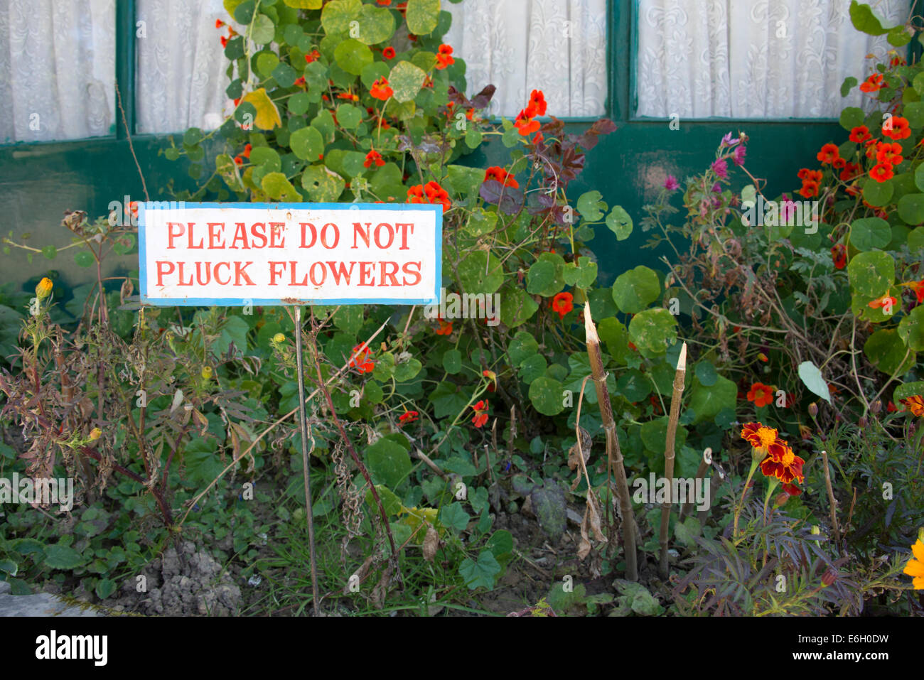 Un panneau de jardin indien dans un jardin de fleurs à la petite station de colline de Kufri dans l'Himachal Pradesh en Inde Banque D'Images