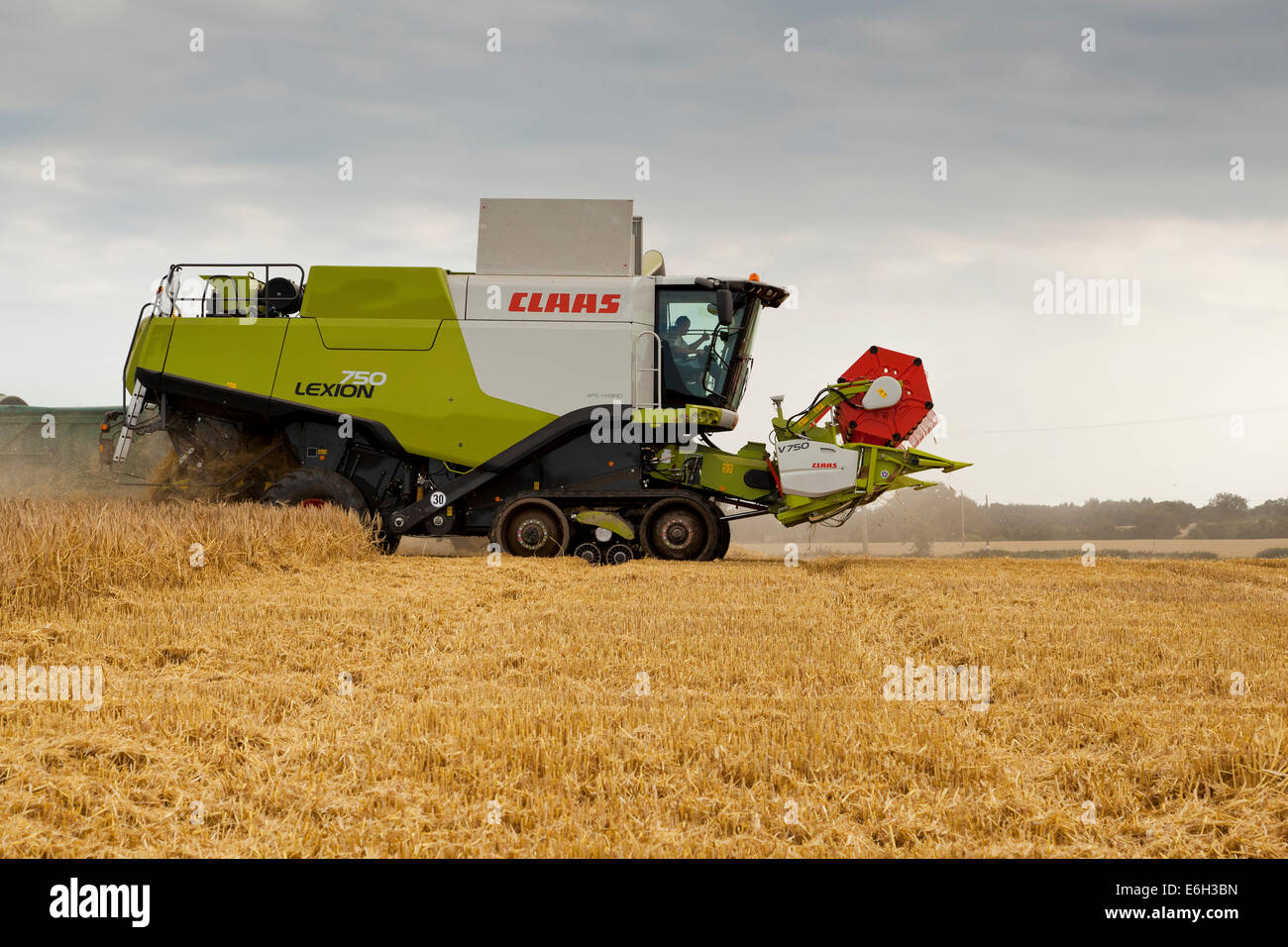 Une moissonneuse-batteuse maïs coupe Banque D'Images