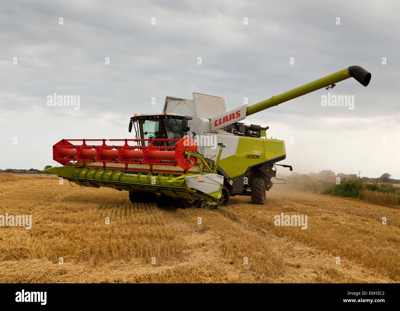 Une moissonneuse-batteuse maïs coupe Banque D'Images