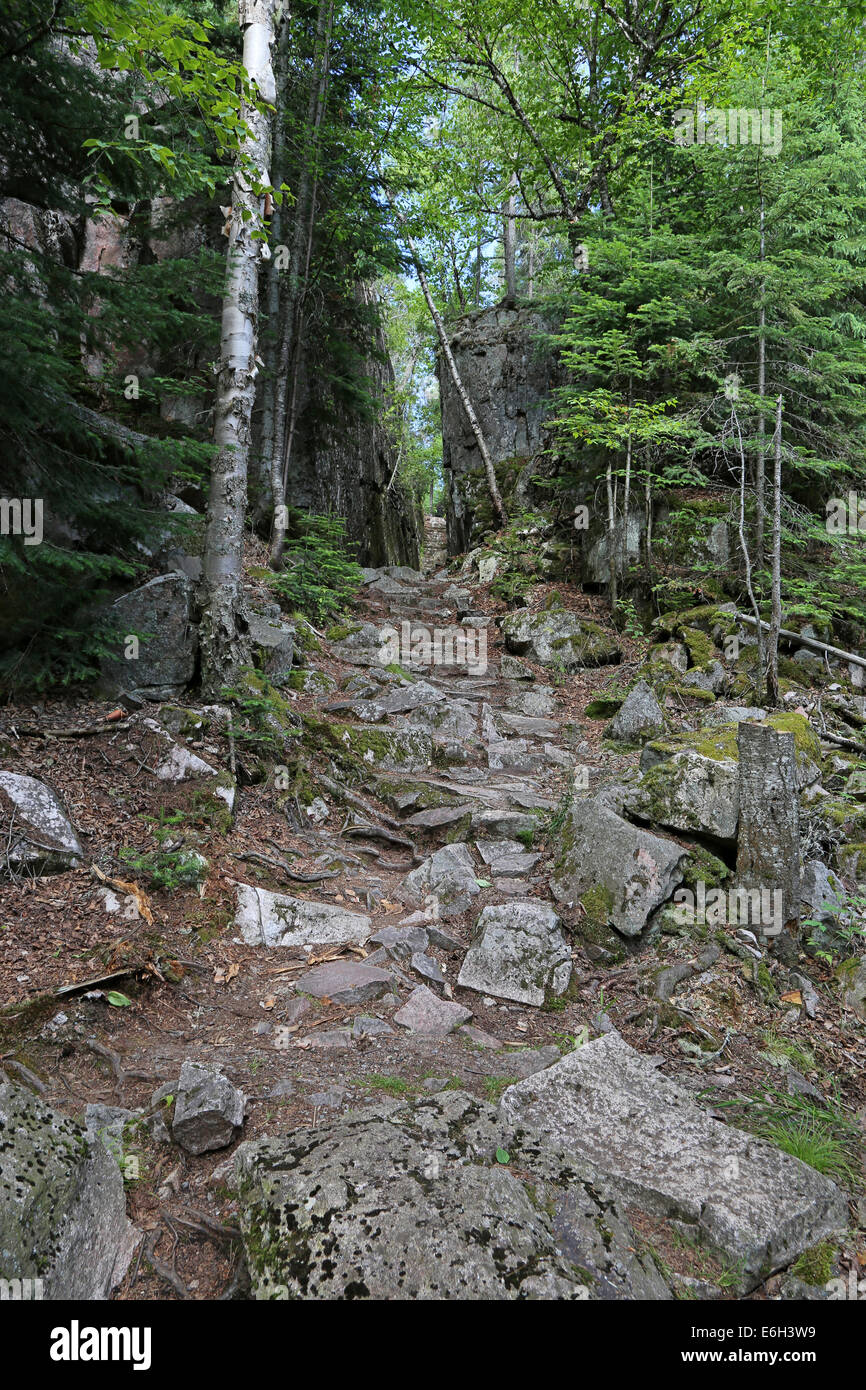 Sentier dans le parc provincial du Lac Supérieur Banque D'Images