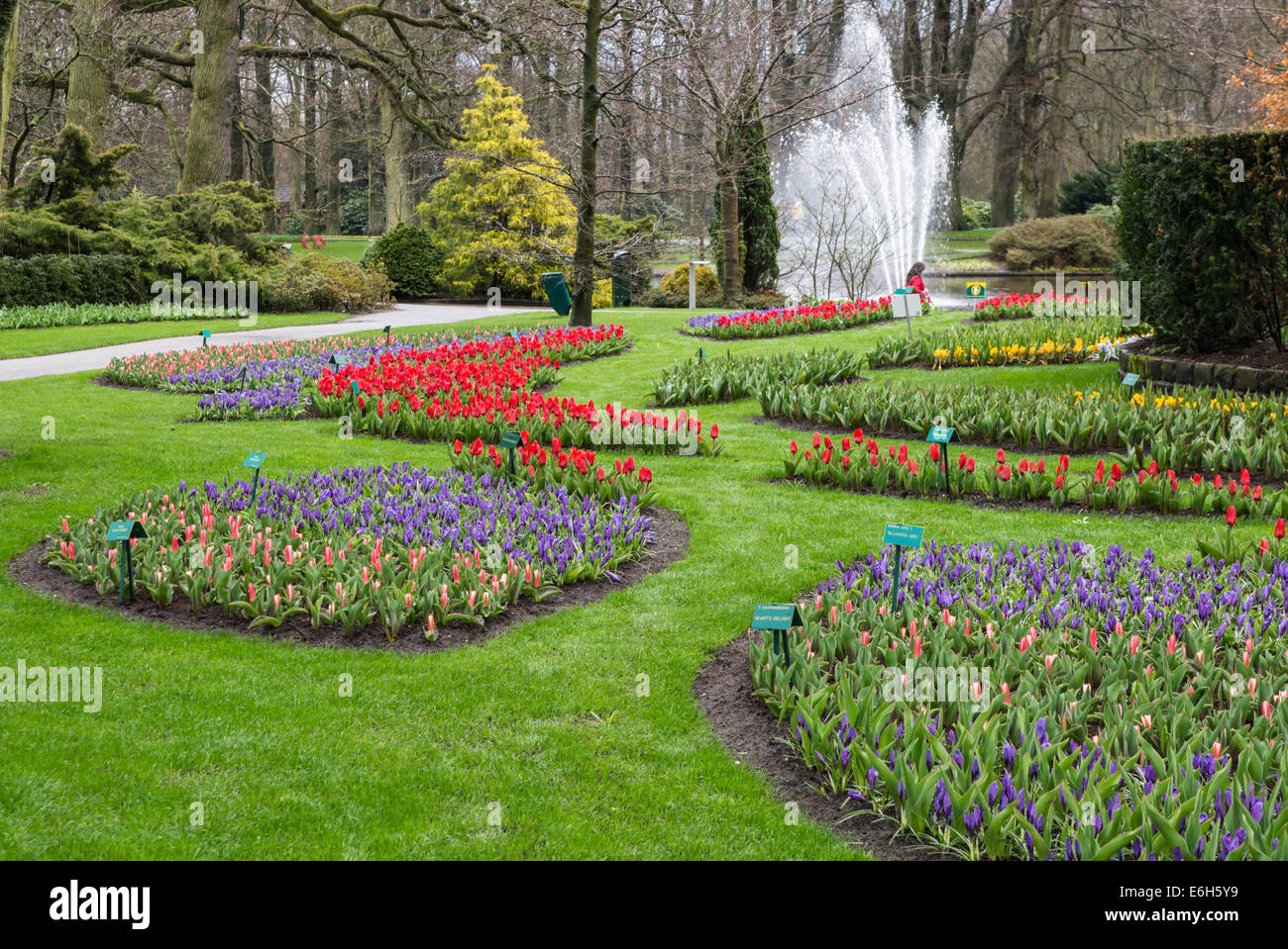 Au début du printemps des fleurs au jardins de Keukenhof, Pays-Bas Banque D'Images