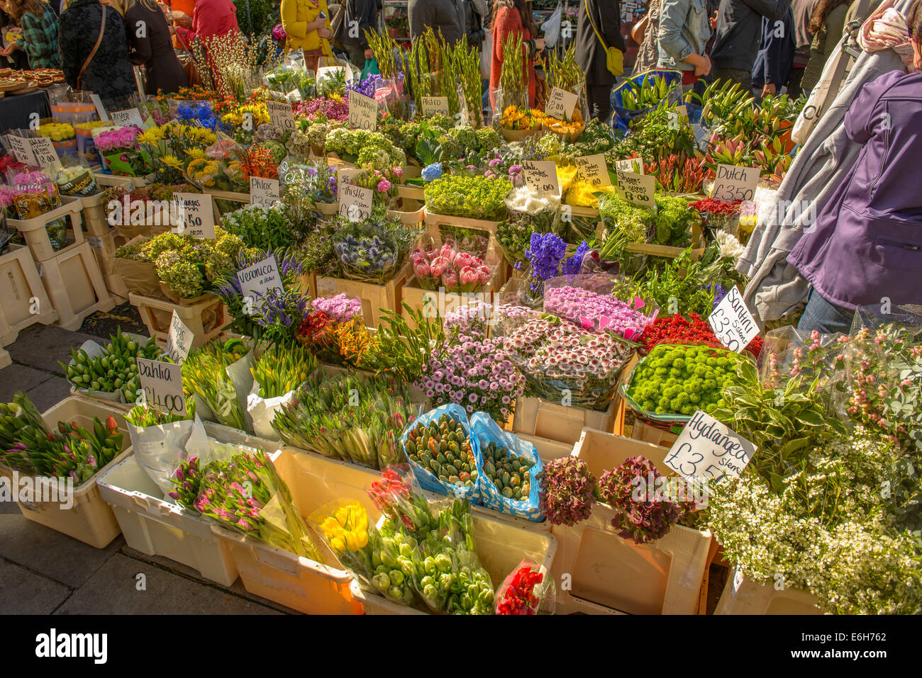 Fleuriste et fleurs fraîches au marché de Portobello à Notting Hill, Londres, Angleterre Banque D'Images