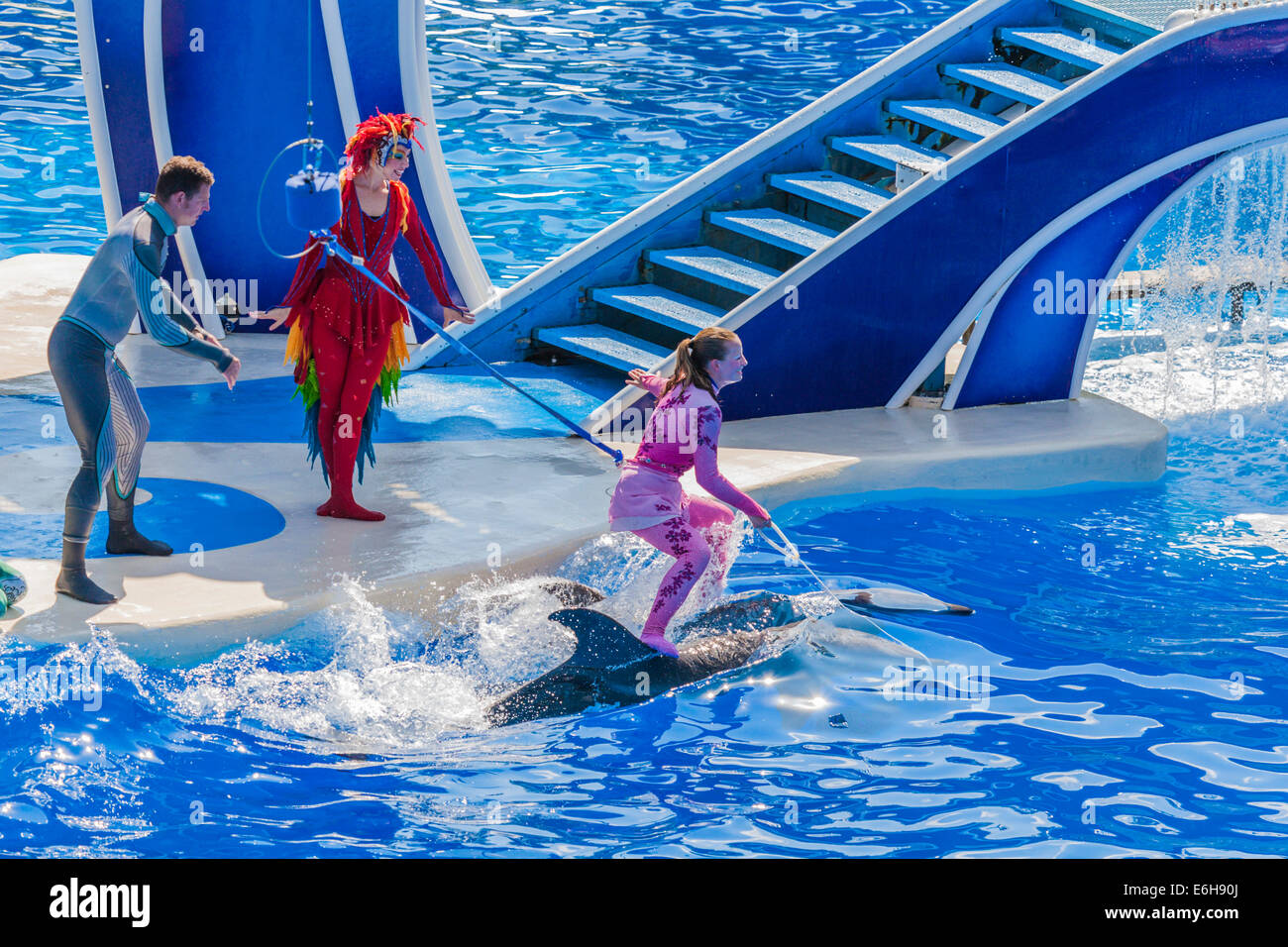 Artiste acrobatiques à cheval sur le dos d'un dauphin bleu pendant tous horizons à Sea World à Orlando, Floride, USA Banque D'Images