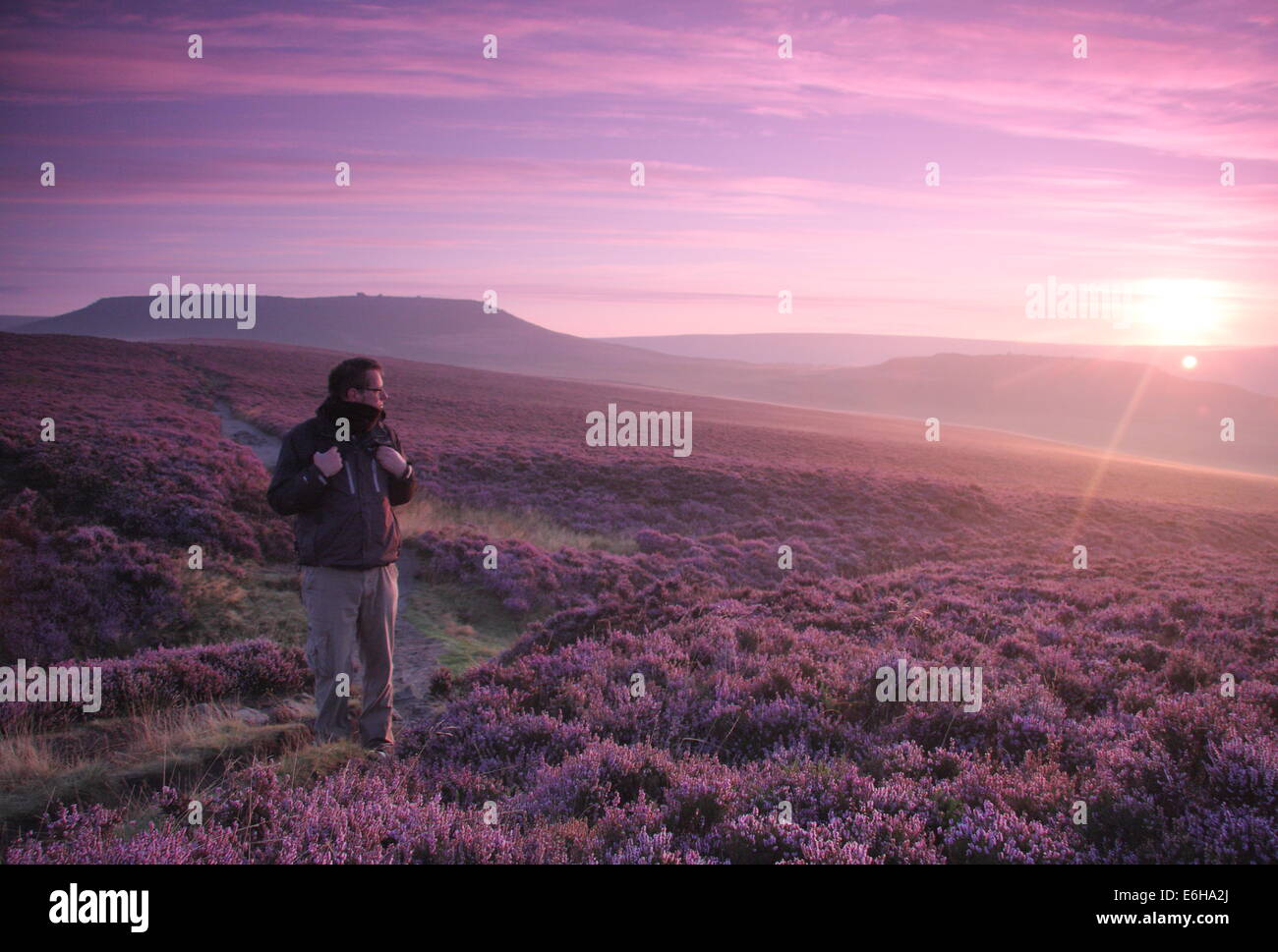 Hathersage Moor, Peak District. 24 août 2014. Par un beau matin frisquet, une colline, Walker s'arrête pour admirer une rafale de lilas aube lumière comme il s'allume de grands pans de la mauve et magenta heather cloaking Hathersage Moor près de Sheffield. August Bank Holiday weekend temps est se détériorer avec les prévisionnistes prédisent une forte pluie et vent pour la plupart des régions du Royaume-Uni demain (25/8). Credit : Deborah Vernon/Alamy Live News Banque D'Images