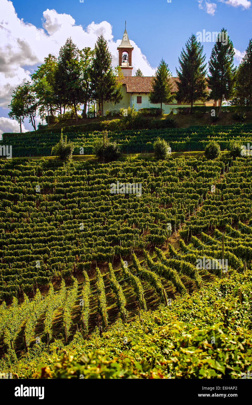 Italie Piémont Langhe Santo Stefano Belbo colline Moncucco Sanctuaire Madonna della Neve Banque D'Images