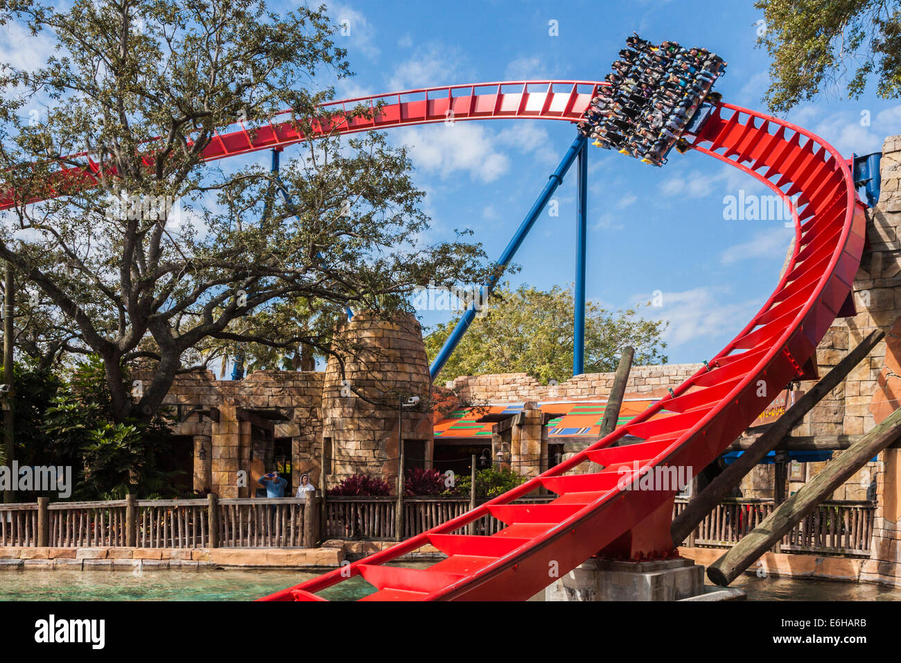 Les clients peuvent prendre la parc SheiKra roller coaster au parc à thème Busch Gardens à Tampa, Floride, USA Banque D'Images