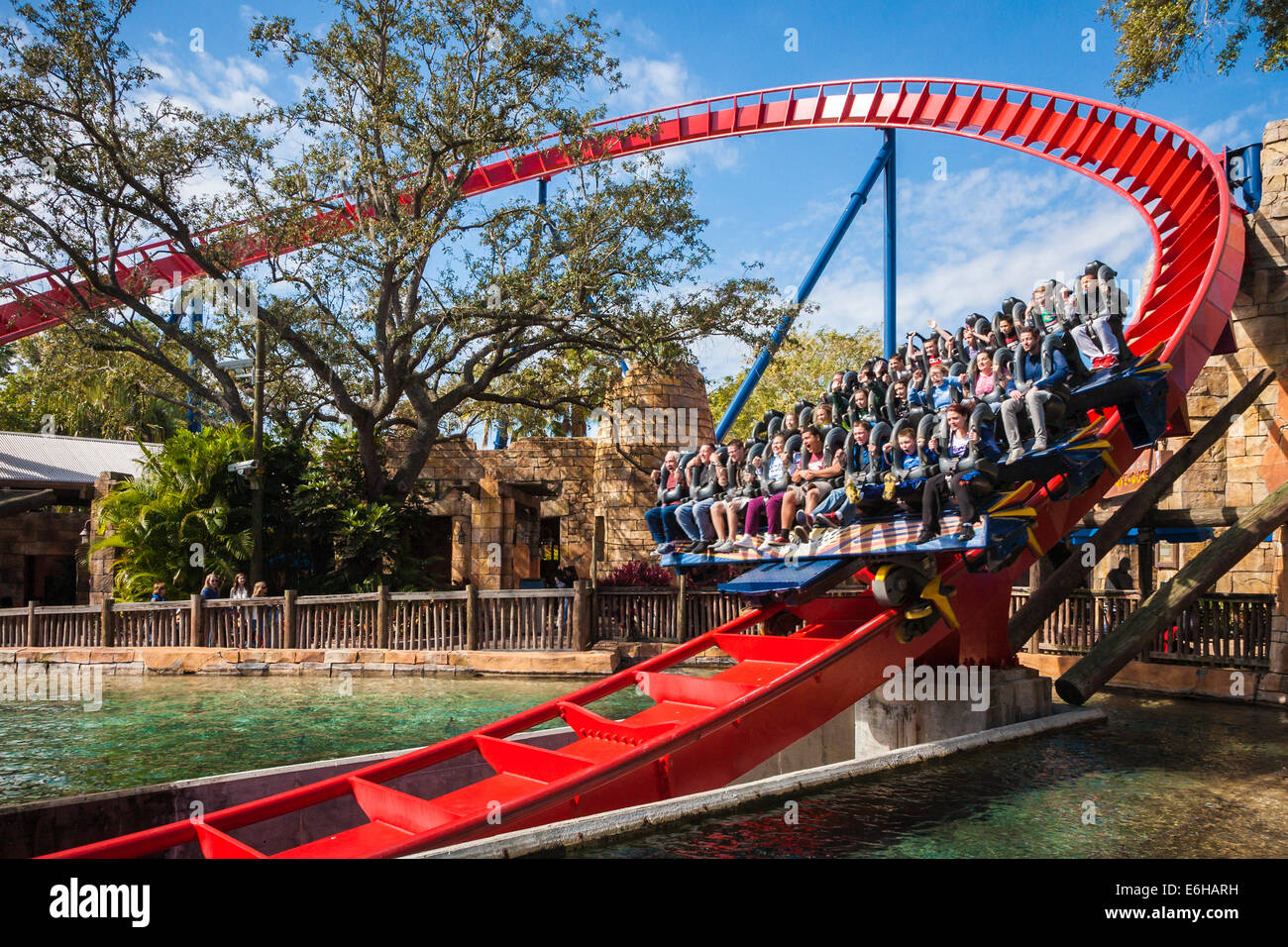 Les clients peuvent prendre la parc SheiKra roller coaster au parc à thème Busch Gardens à Tampa, Floride, USA Banque D'Images