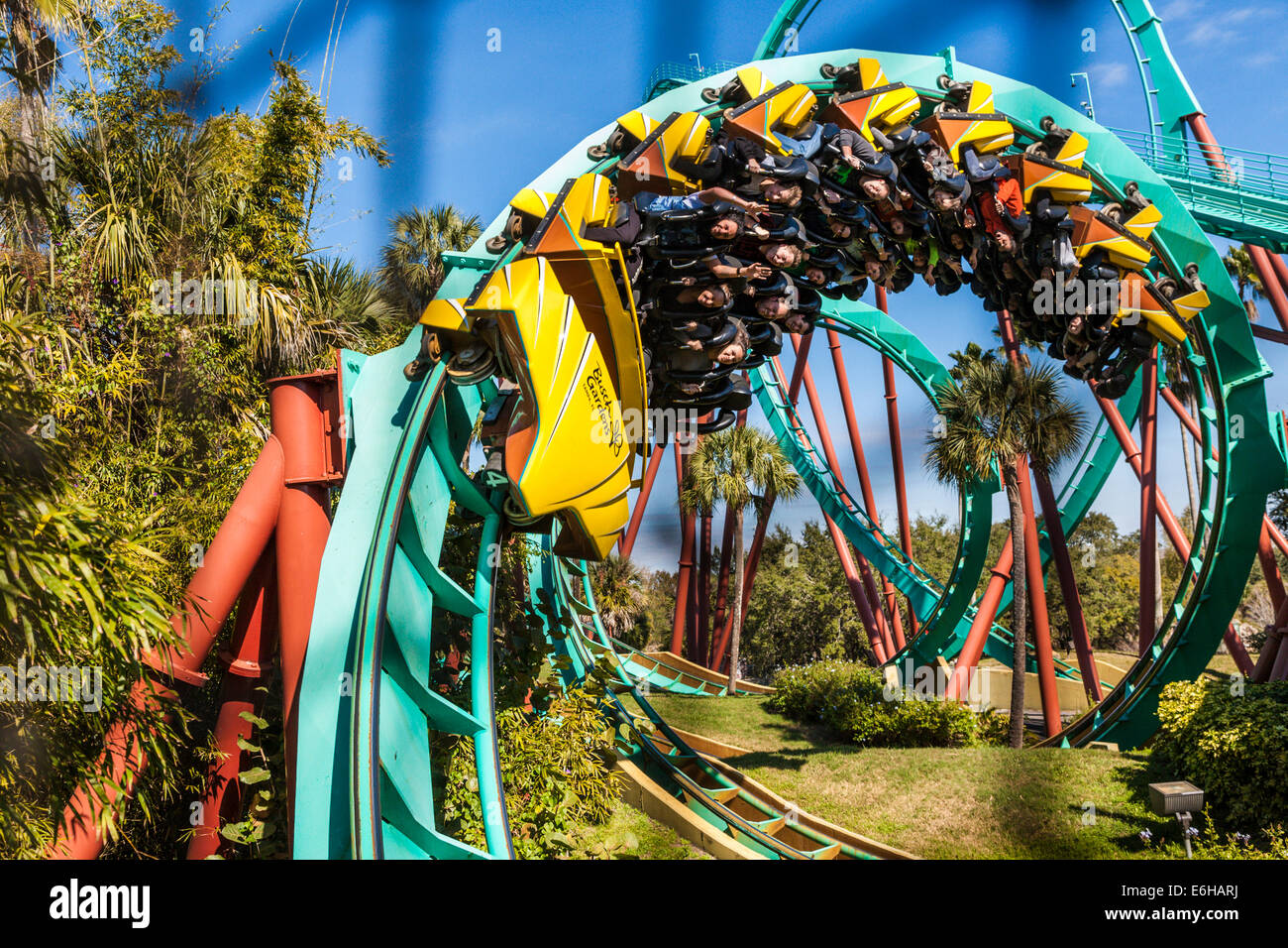 Kumba roller coaster corkscrew vu à travers un filet de sécurité à Busch Gardens à Tampa, Floride, USA Banque D'Images