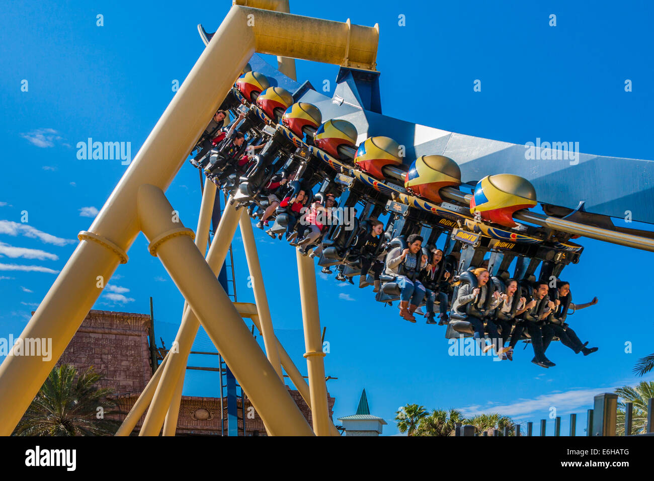 Les clients du parc équestre Montu roller coaster à Busch Gardens à Tampa, Floride, USA Banque D'Images