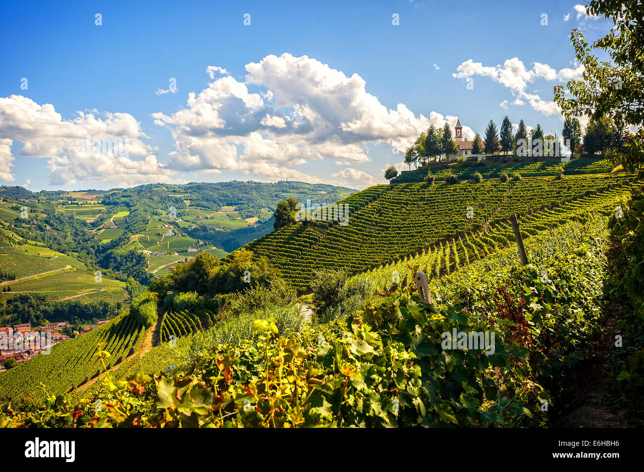 Italie Piémont Langhe Santo Stefano Belbo colline Moncucco, Vignobles Banque D'Images