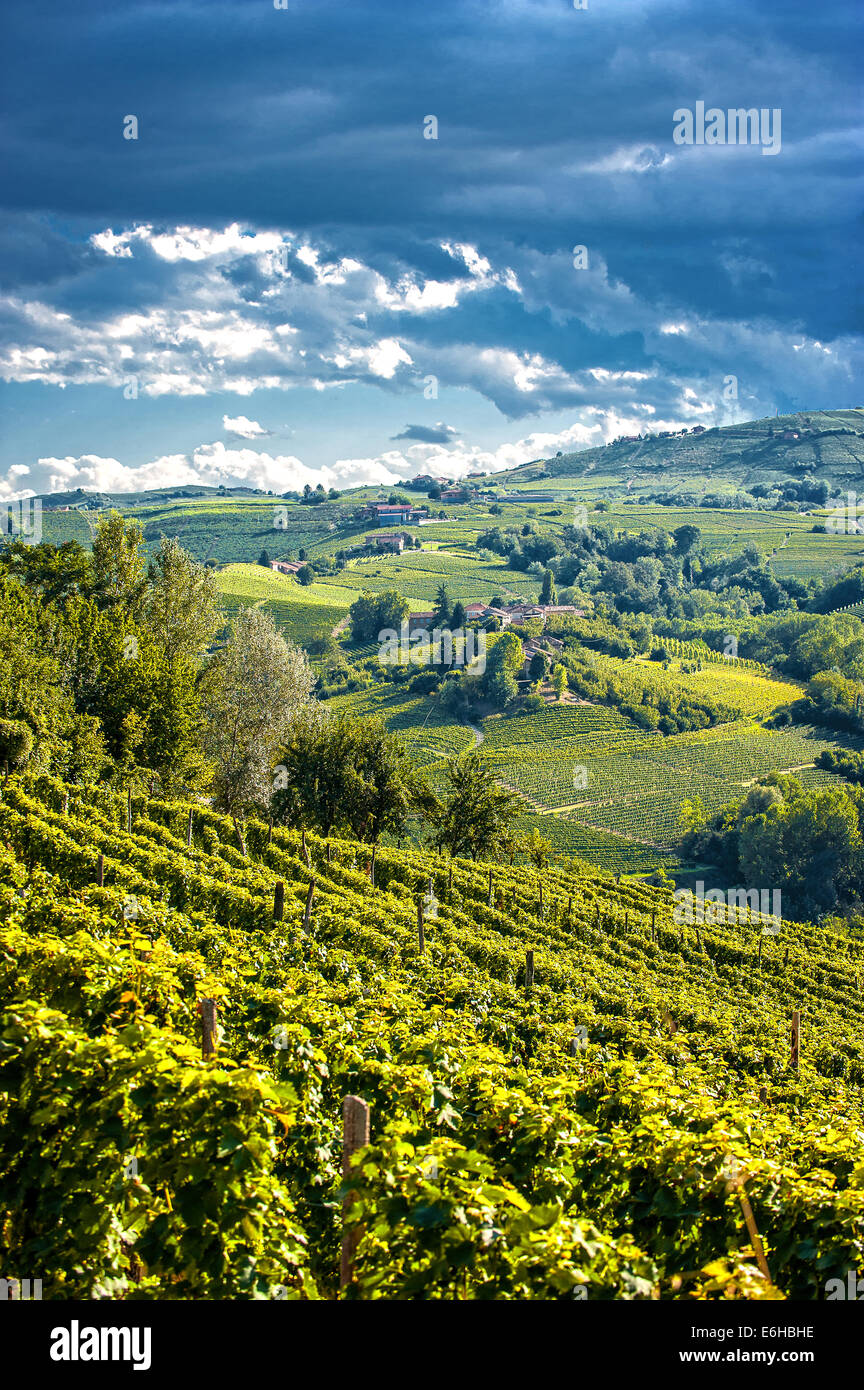 Italie Piémont Langhe Santo Stefano Belbo Vineyards Banque D'Images