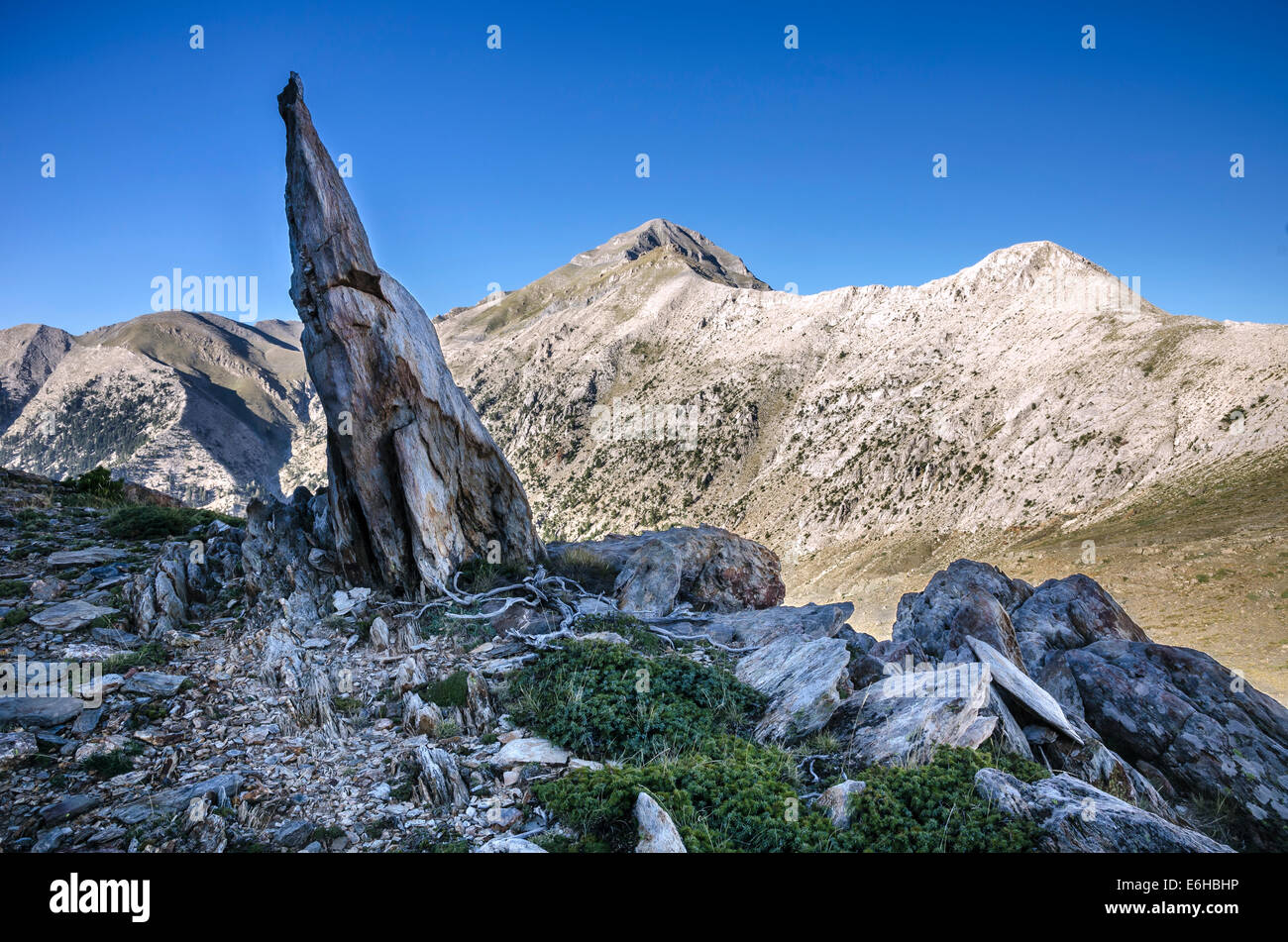 Profitis Ilias, le plus haut sommet de la gamme Taygète, vu de Musgia ridge dans l'avant-Mani, Messénie, Péloponnèse, Grèce Banque D'Images