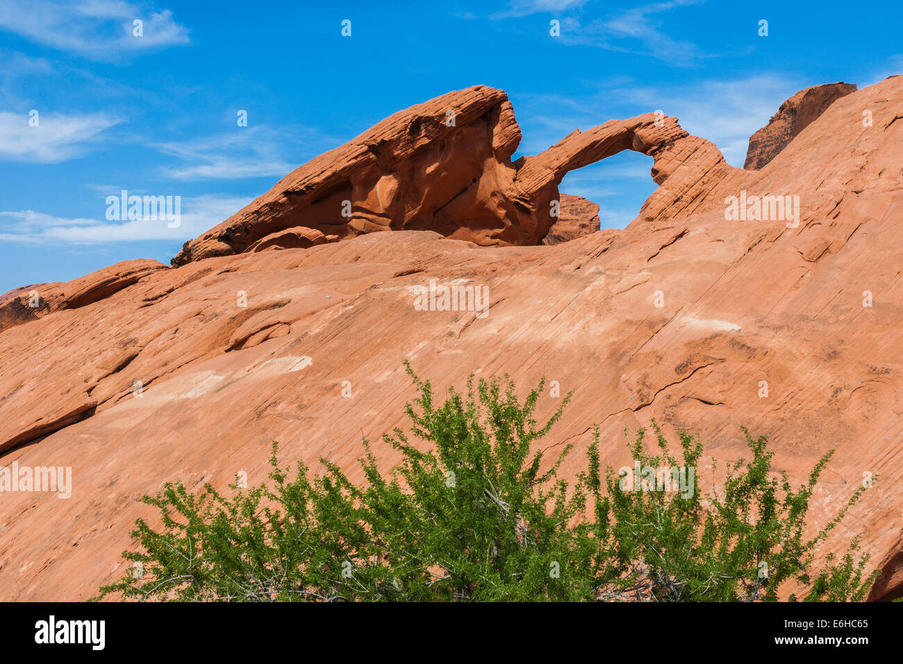 Arche naturelle rock formation dans la Vallée de Feu State Park près de Overton, Nevada Banque D'Images