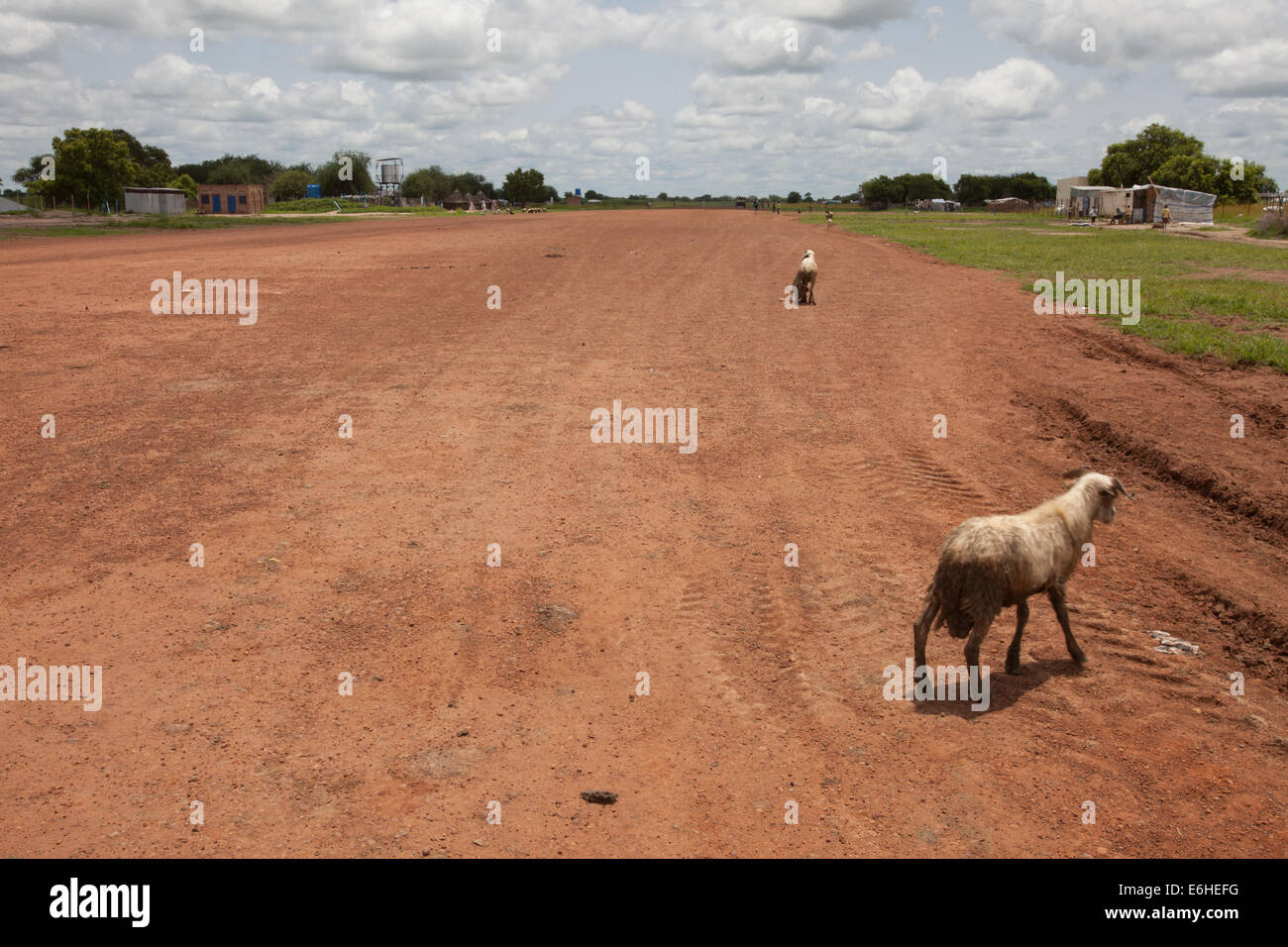 Piste d'Agok, province d'Abyei, Soudan / Soudan du Sud. Banque D'Images