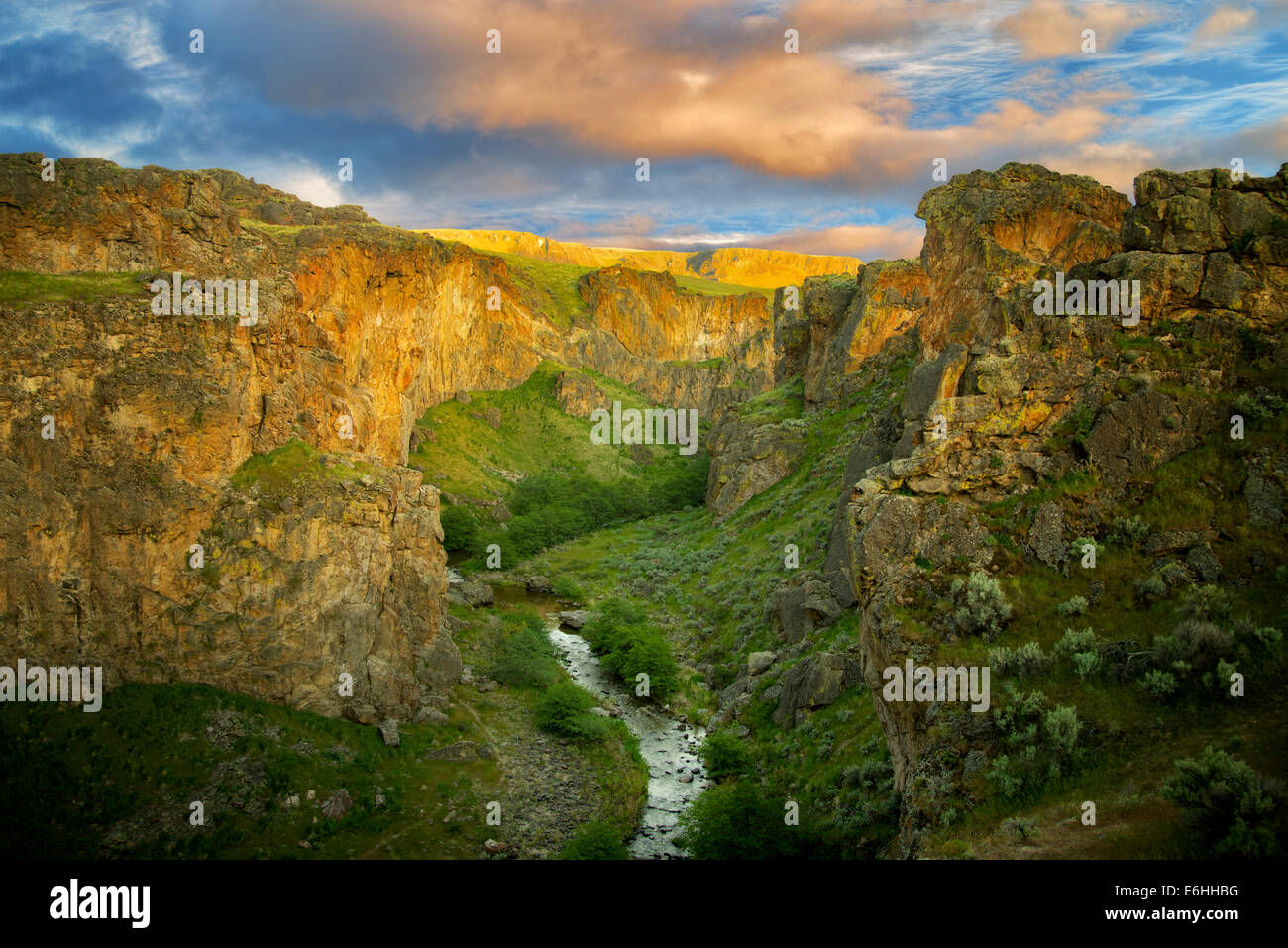 Secours Creek canyon avec coucher de nuages. Malheur County, Oregon Banque D'Images