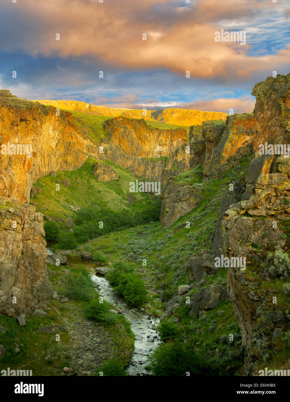 Secours Creek canyon avec coucher de nuages. Malheur County, Oregon Banque D'Images