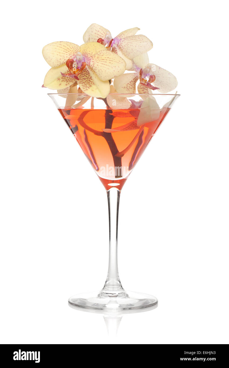 Fleurs d'orchidée dans un verre à cocktail. Isolé sur fond blanc Banque D'Images