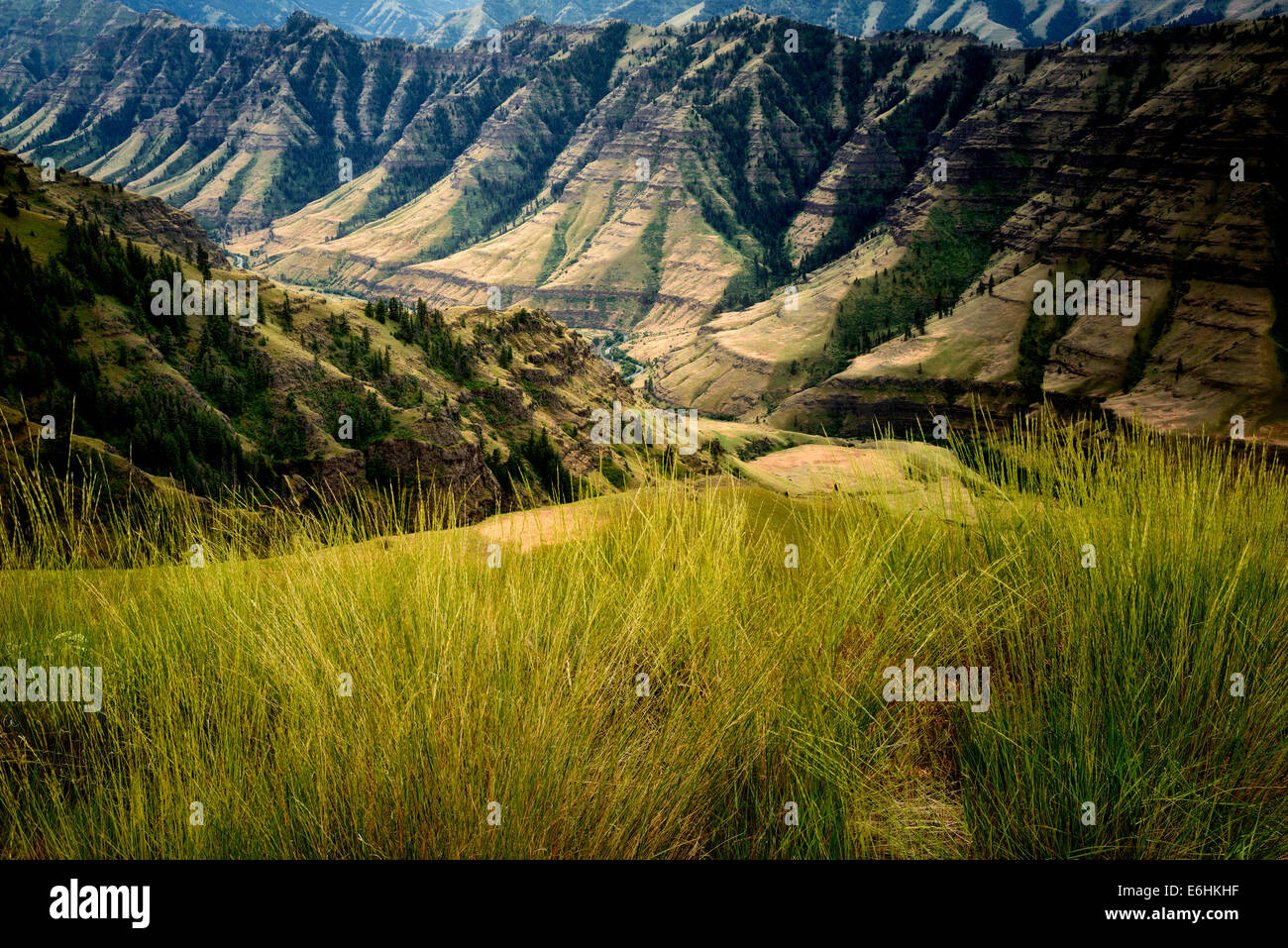 Herbes et Imnaha Canyon. Hells Canyon National Recreation Area, New York Banque D'Images