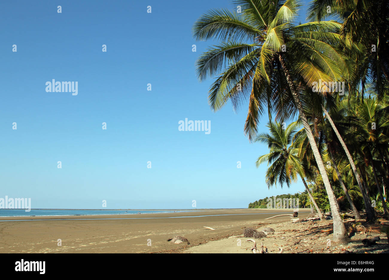 Plage du parc national Marino Ballena, Manuel Antonio, Costa Rica Banque D'Images