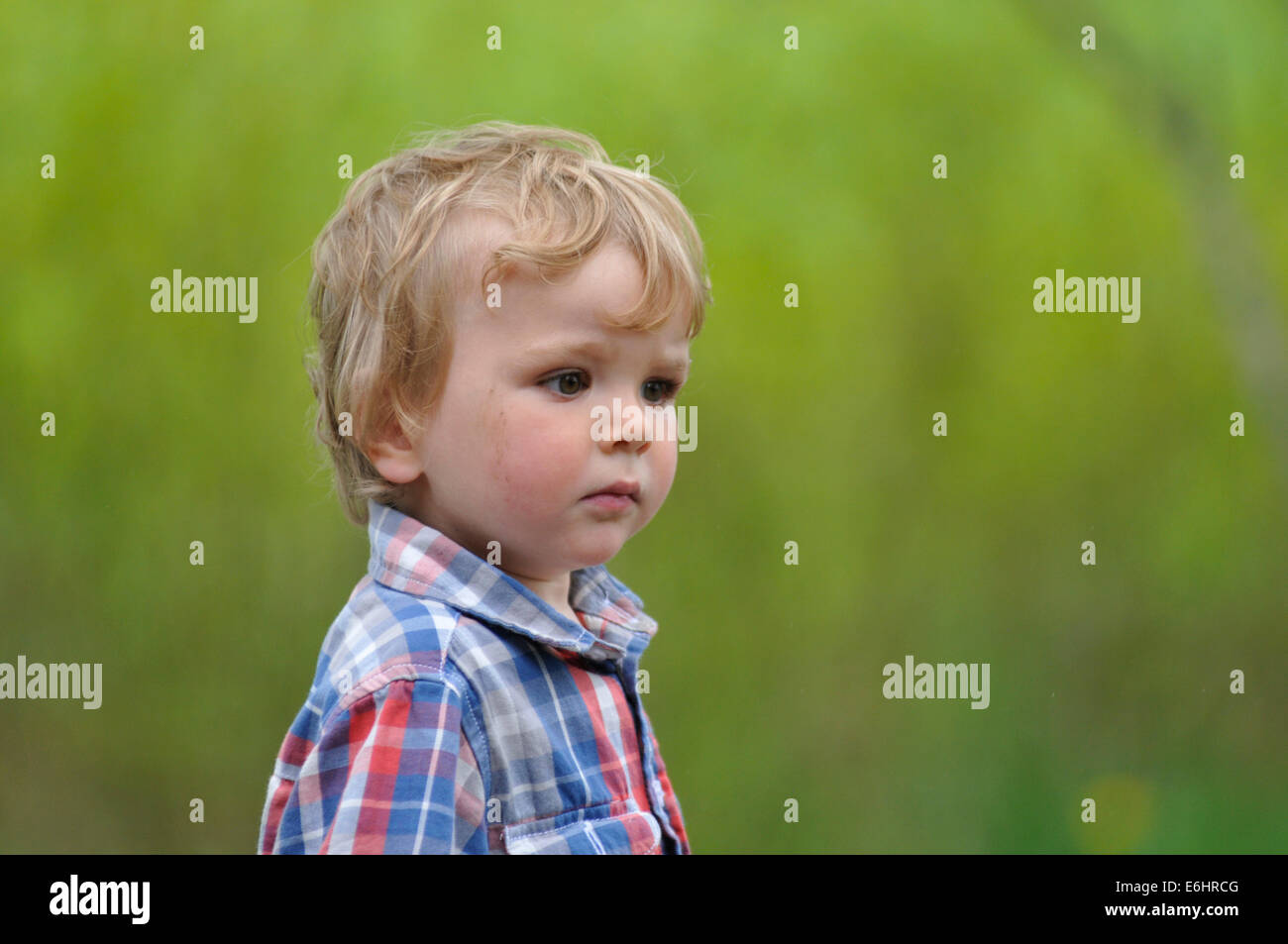 Portrait d'un petit garçon pris en plein air avec un fond vert Banque D'Images